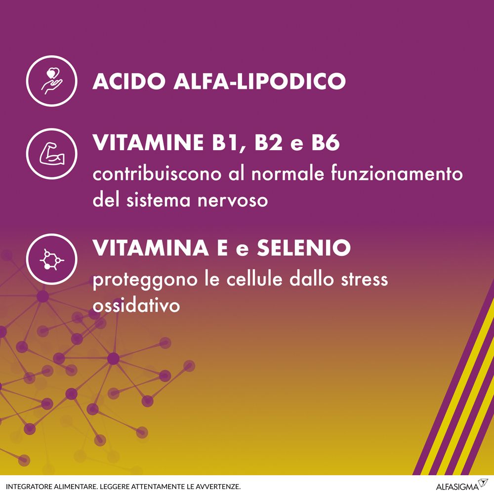 Grafica con testo. Descrive gli ingredienti di ALAnerv. Strisce viola e gialle. Logo Alfasiigma.