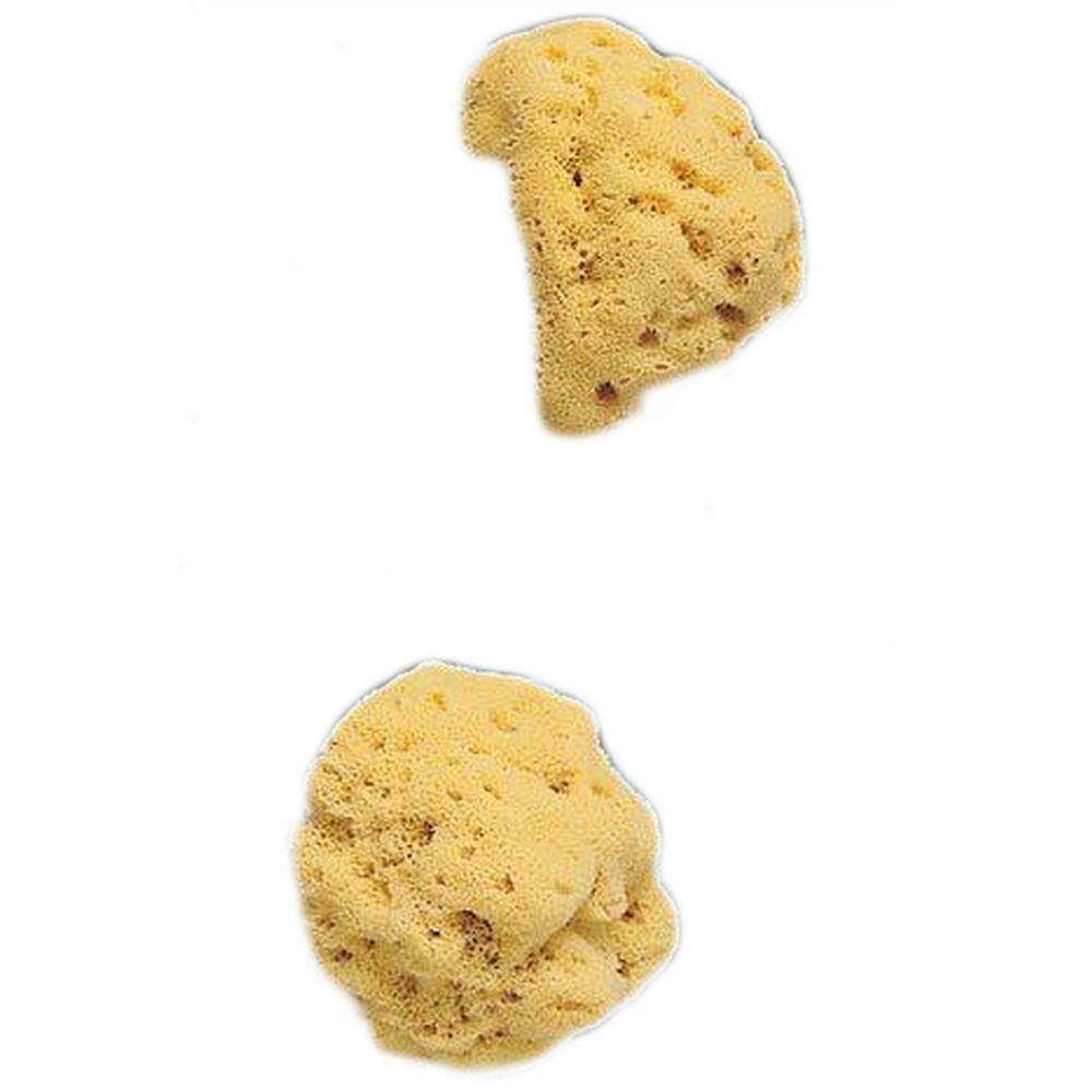 Spugna Nat Fori L 8/9 5 Cm