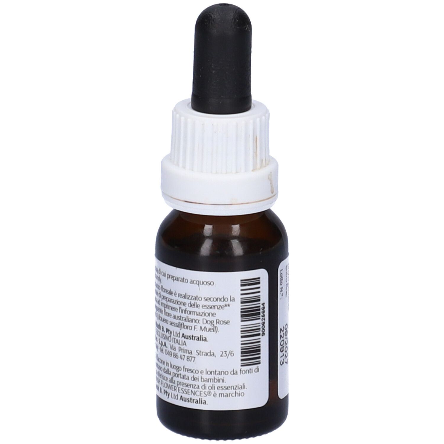 Dog Rose Wild Force Australian 15 Ml