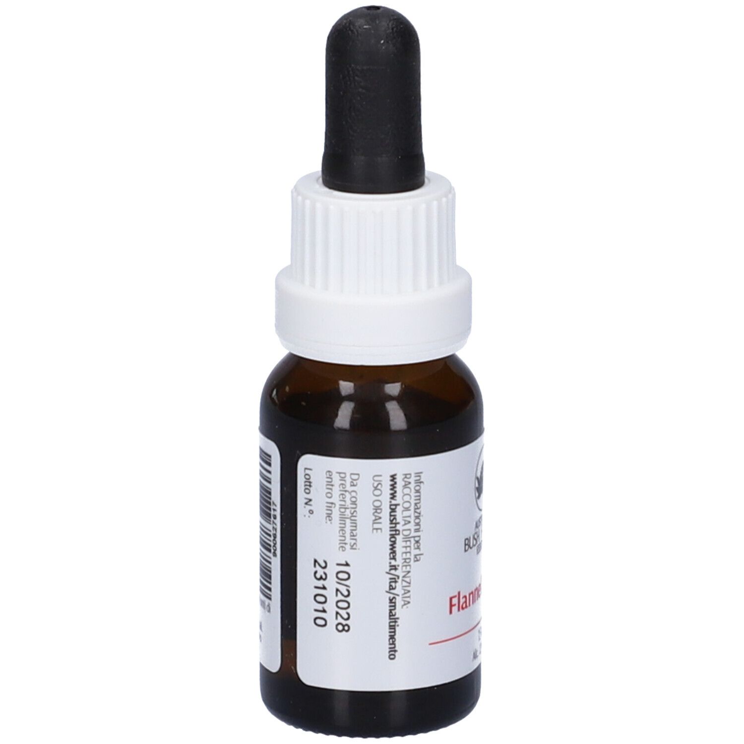 Flannel Flower Australian 15 Ml