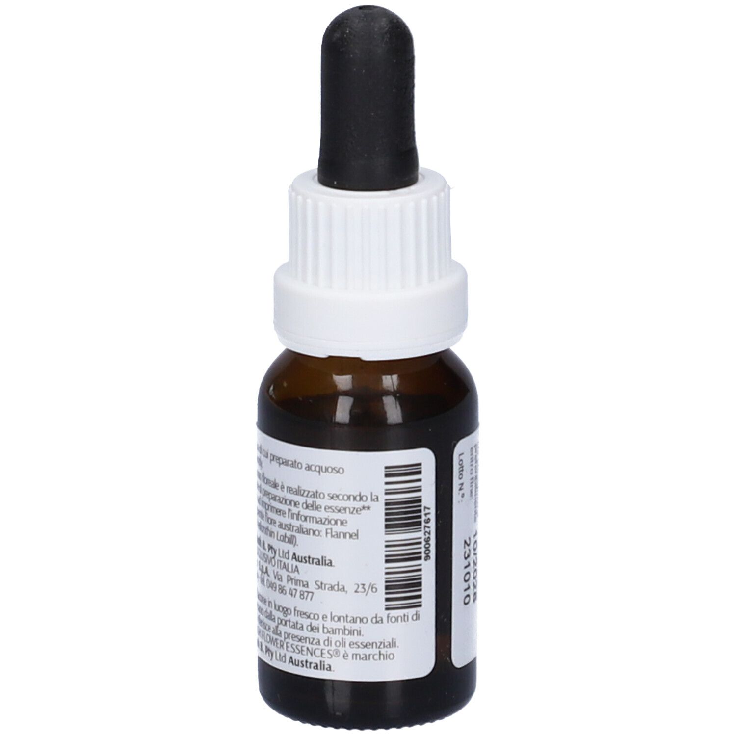 Flannel Flower Australian 15 Ml