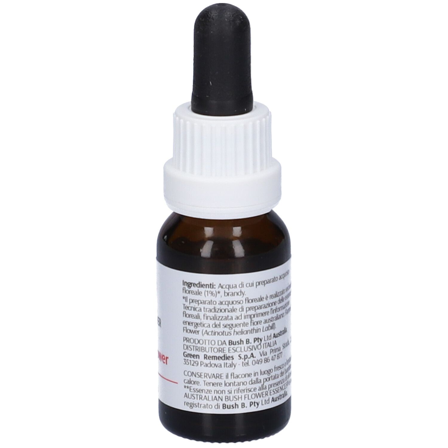 Flannel Flower Australian 15 Ml