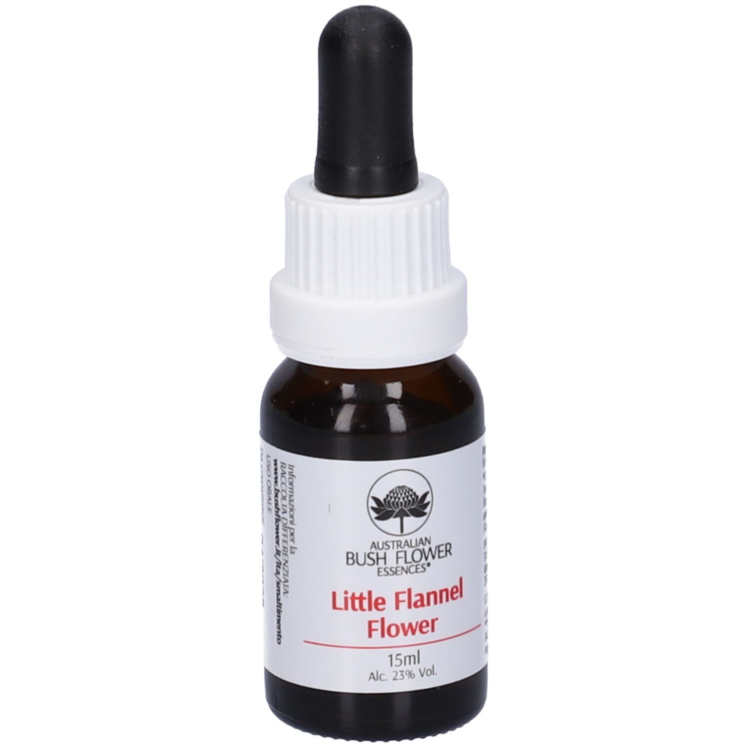 Little Flannel Flower 15 Ml