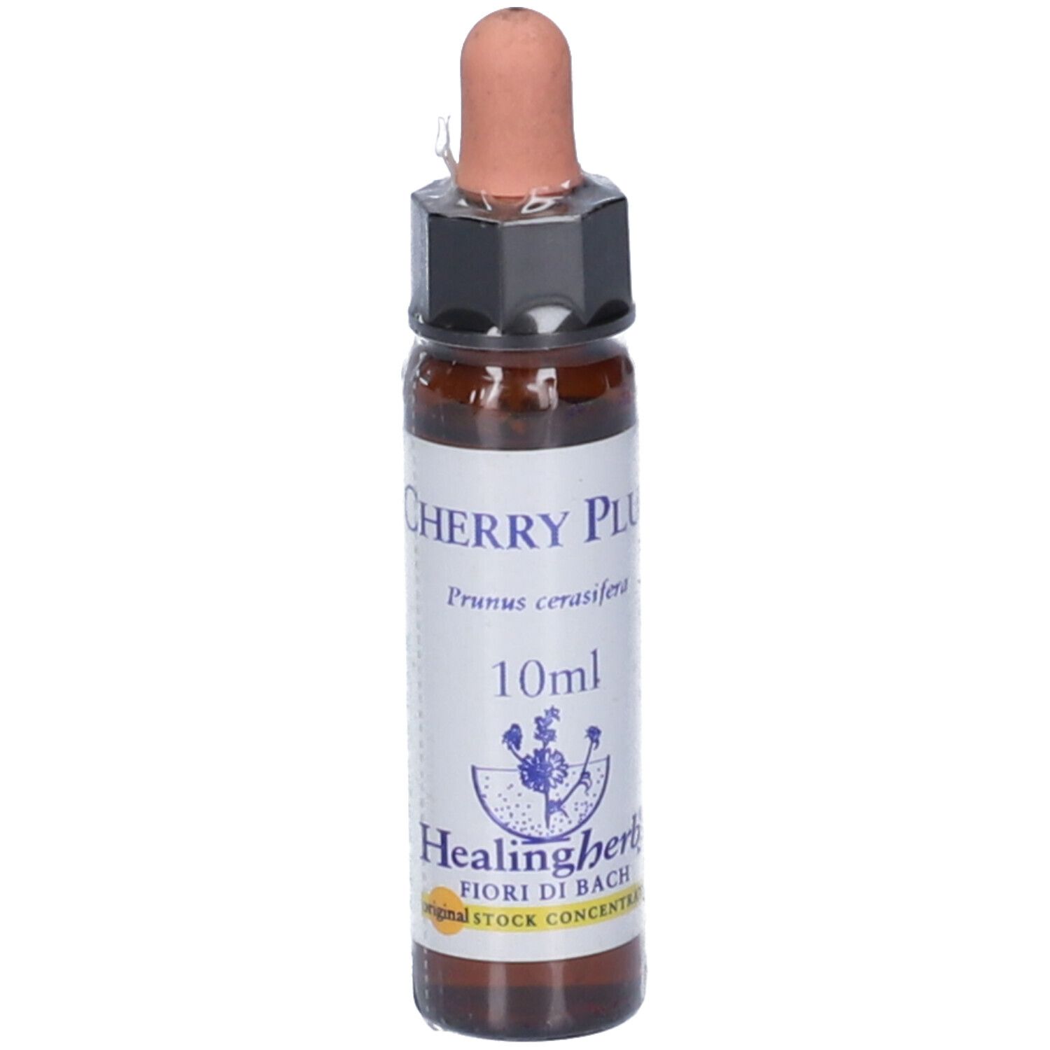 Cherry Plum Essenza 10Ml
