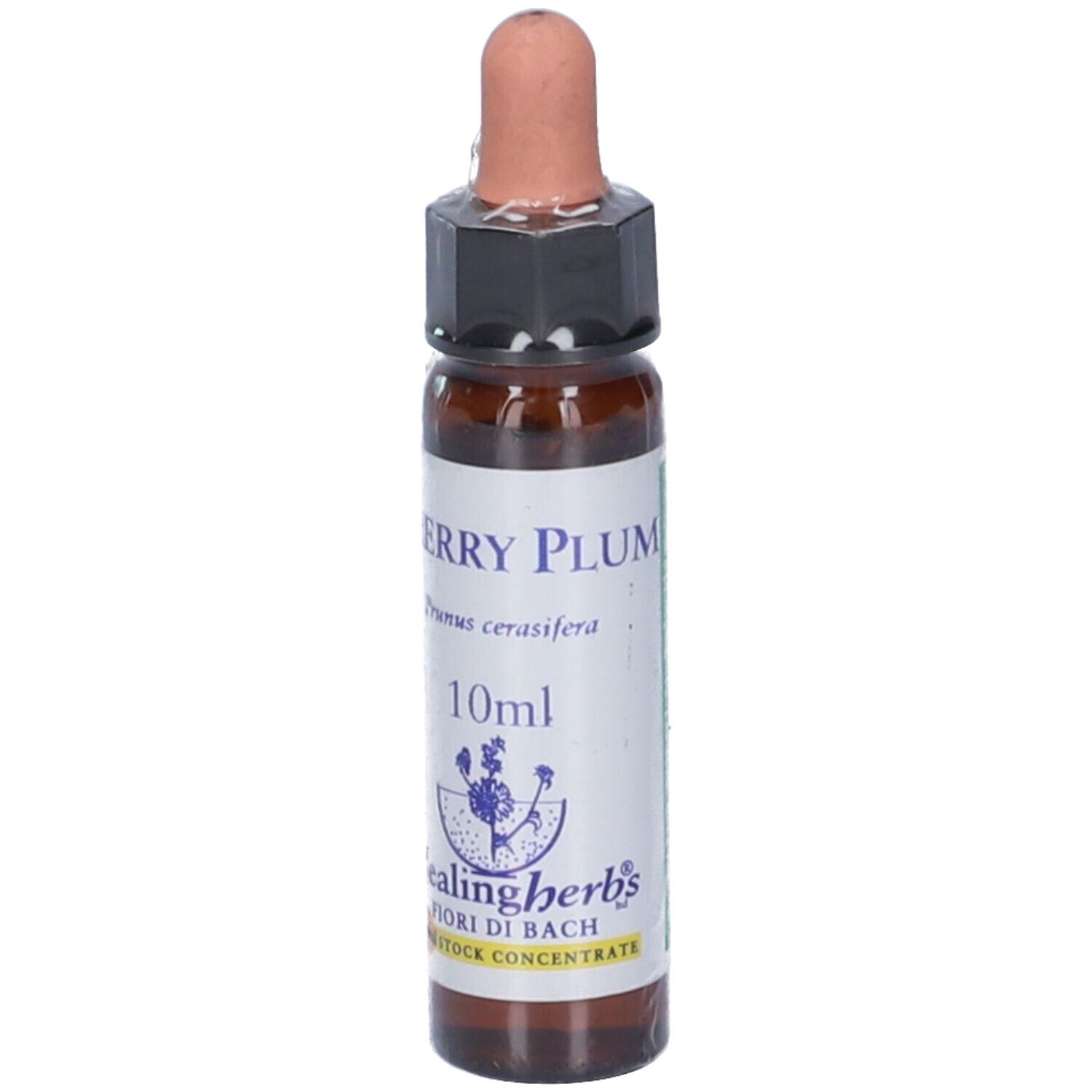 Cherry Plum Essenza 10Ml