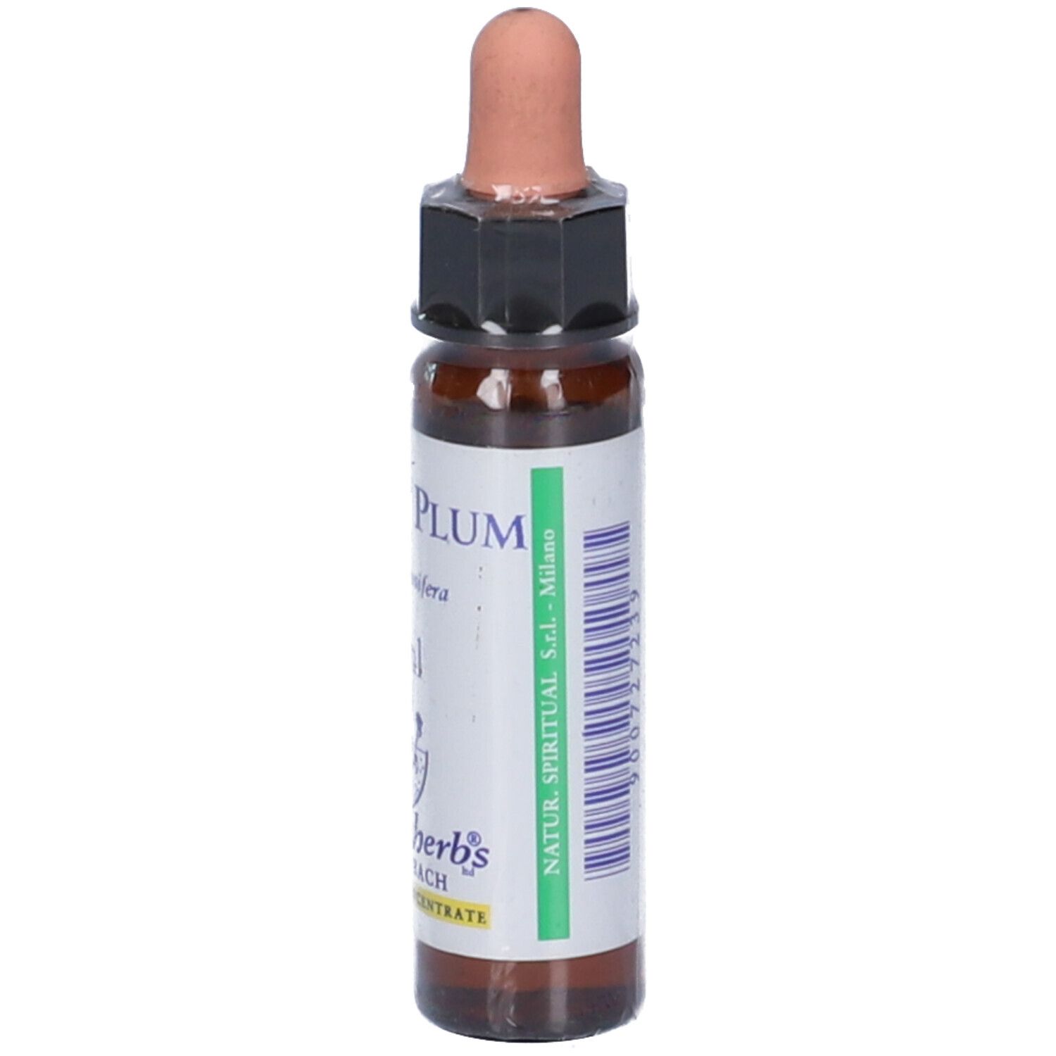 Cherry Plum Essenza 10Ml