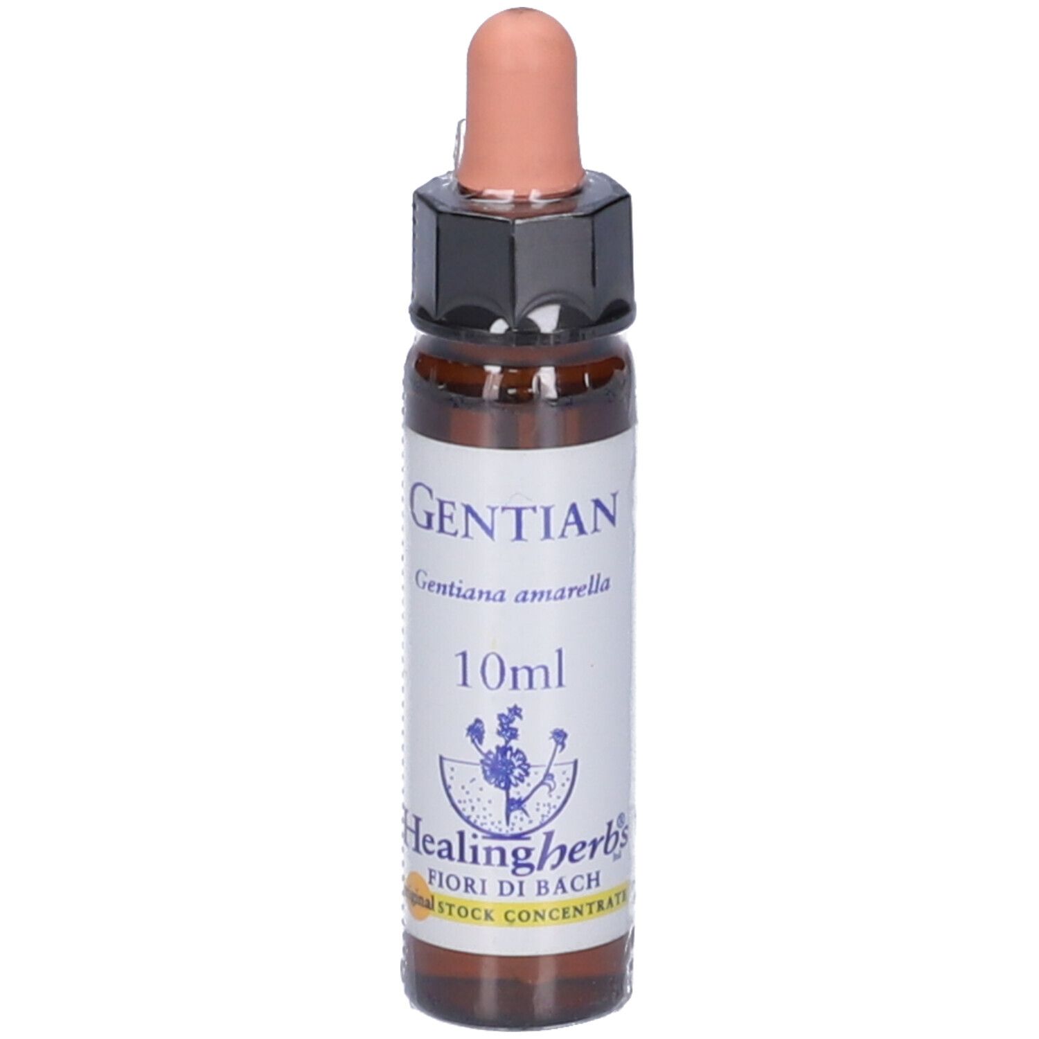 Gentian Essenza 10Ml