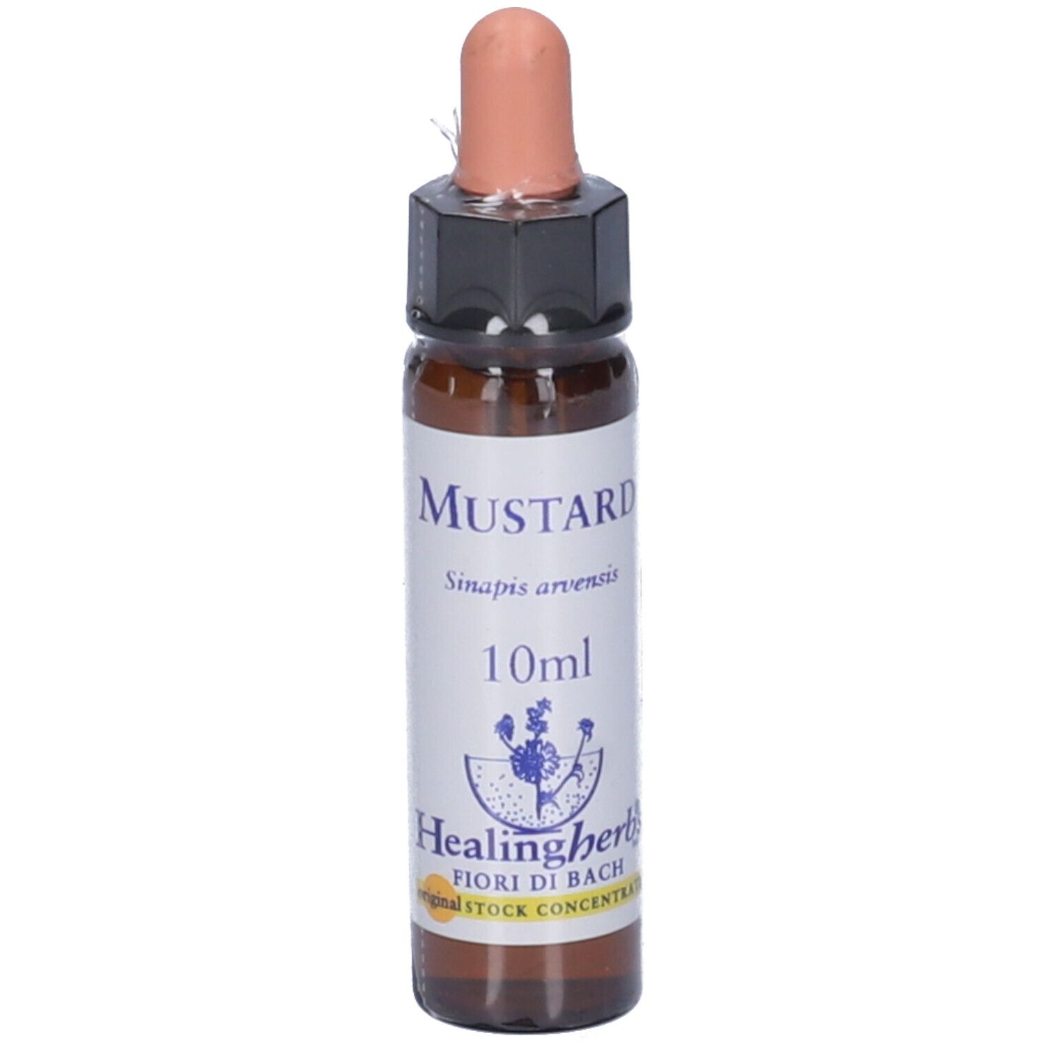 Mustard Essenza 10Ml