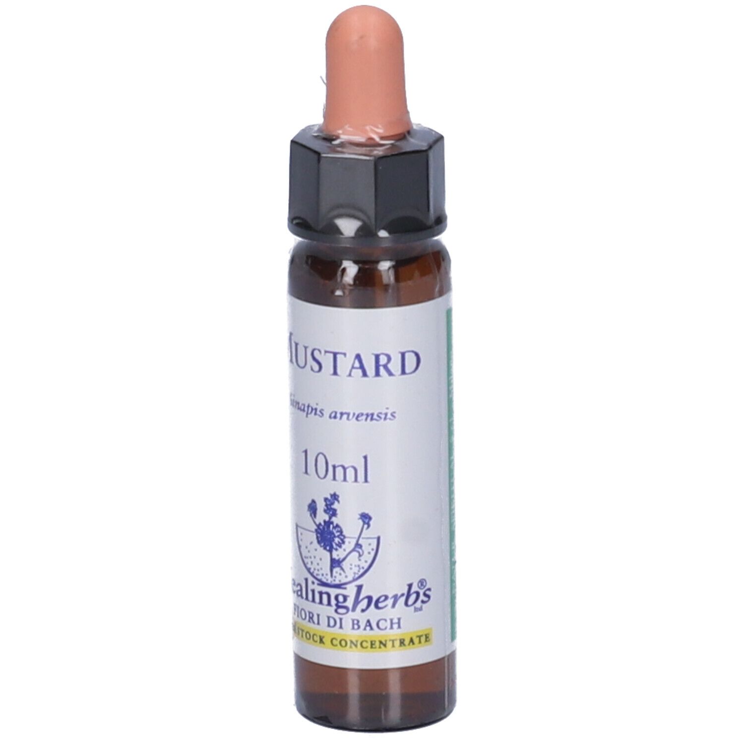 Mustard Essenza 10Ml