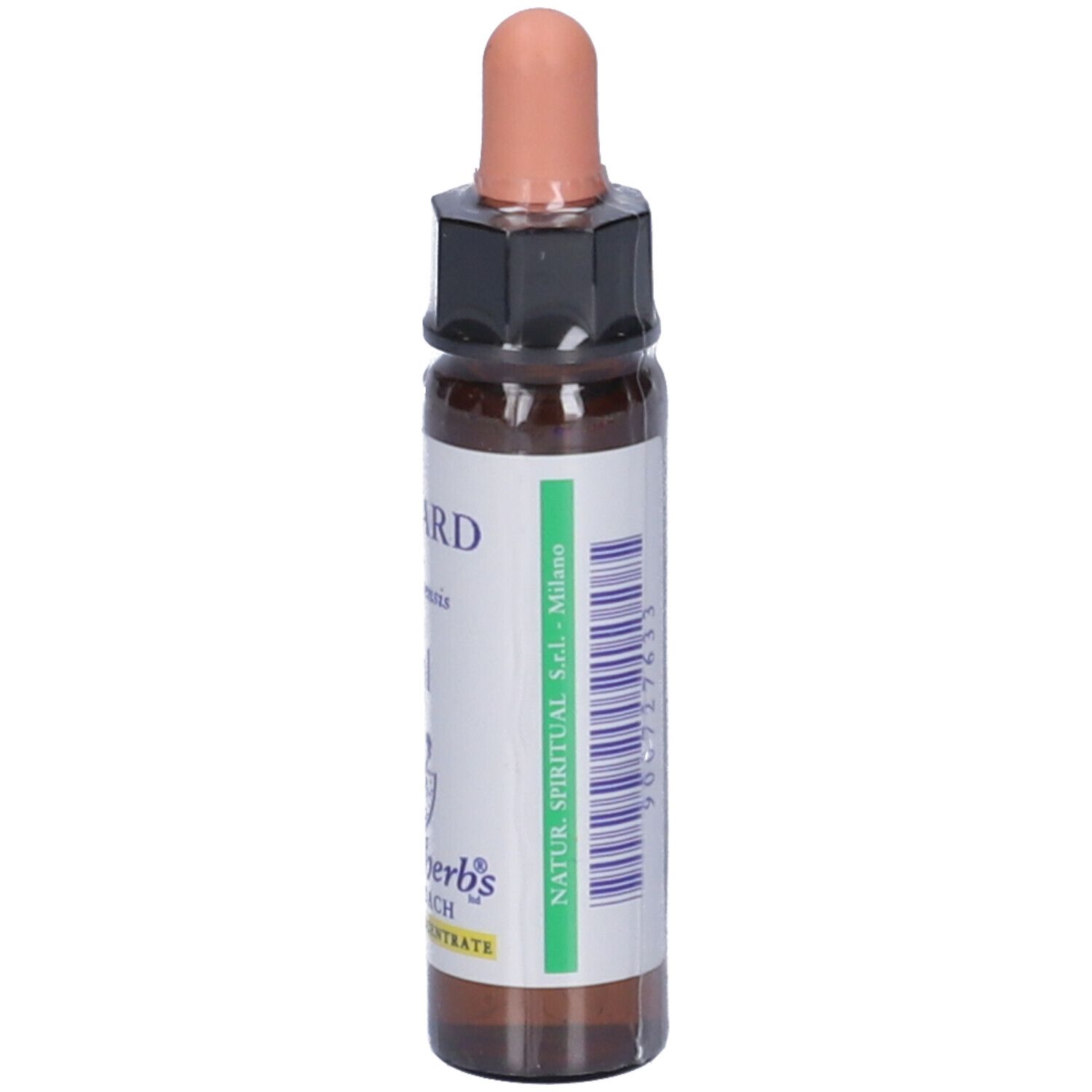 Mustard Essenza 10Ml