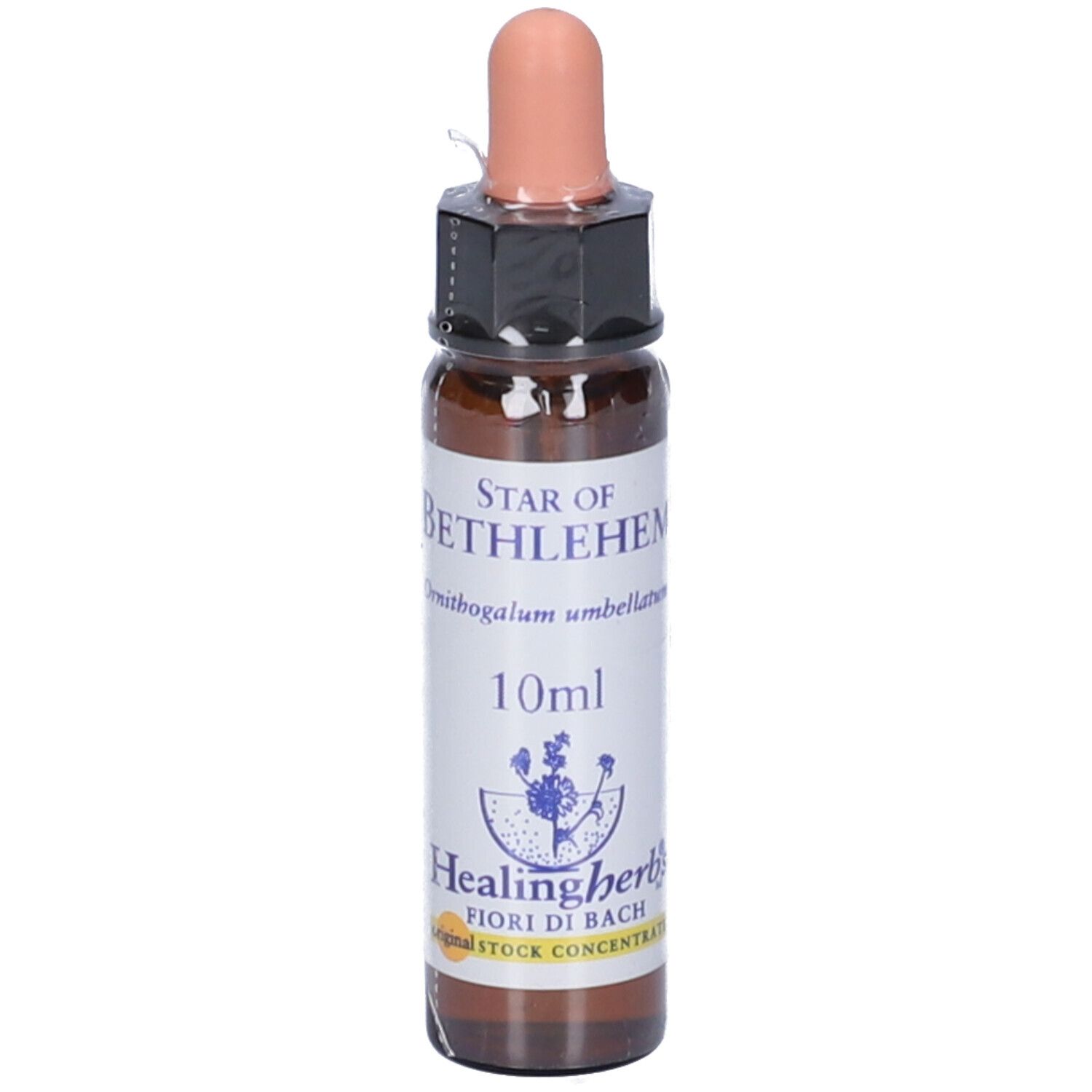Star Of Bethlehem Essenza 10Ml
