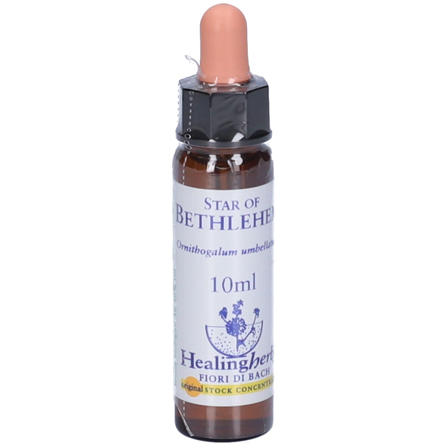 Star Of Bethlehem Essenza 10Ml