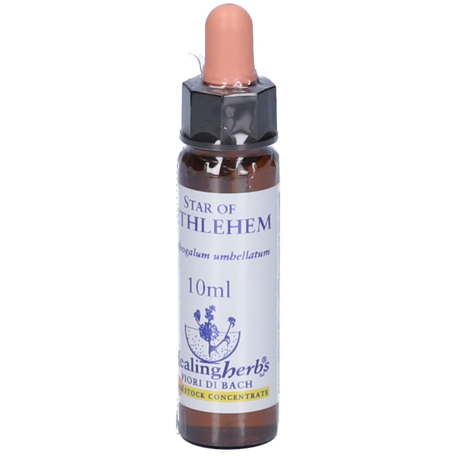 Star Of Bethlehem Essenza 10Ml