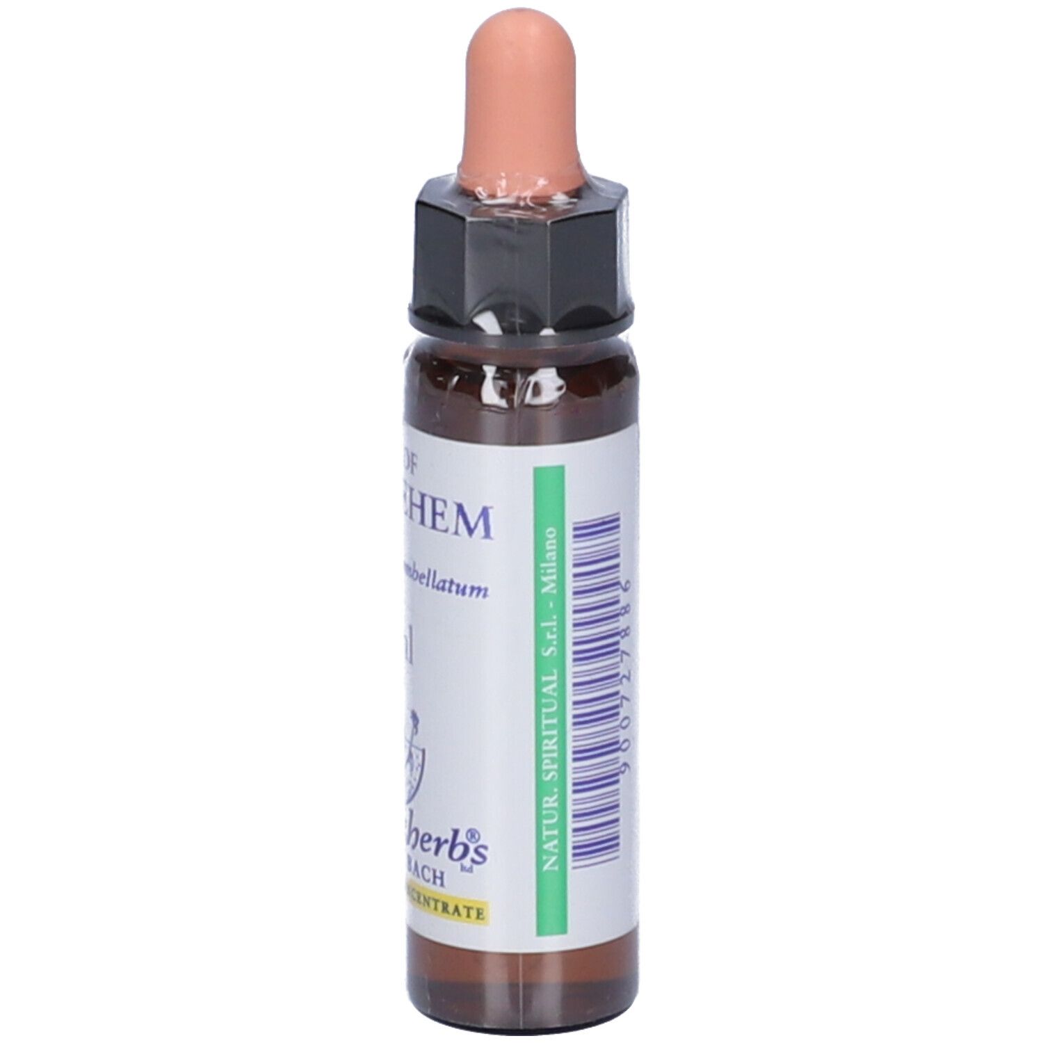 Star Of Bethlehem Essenza 10Ml