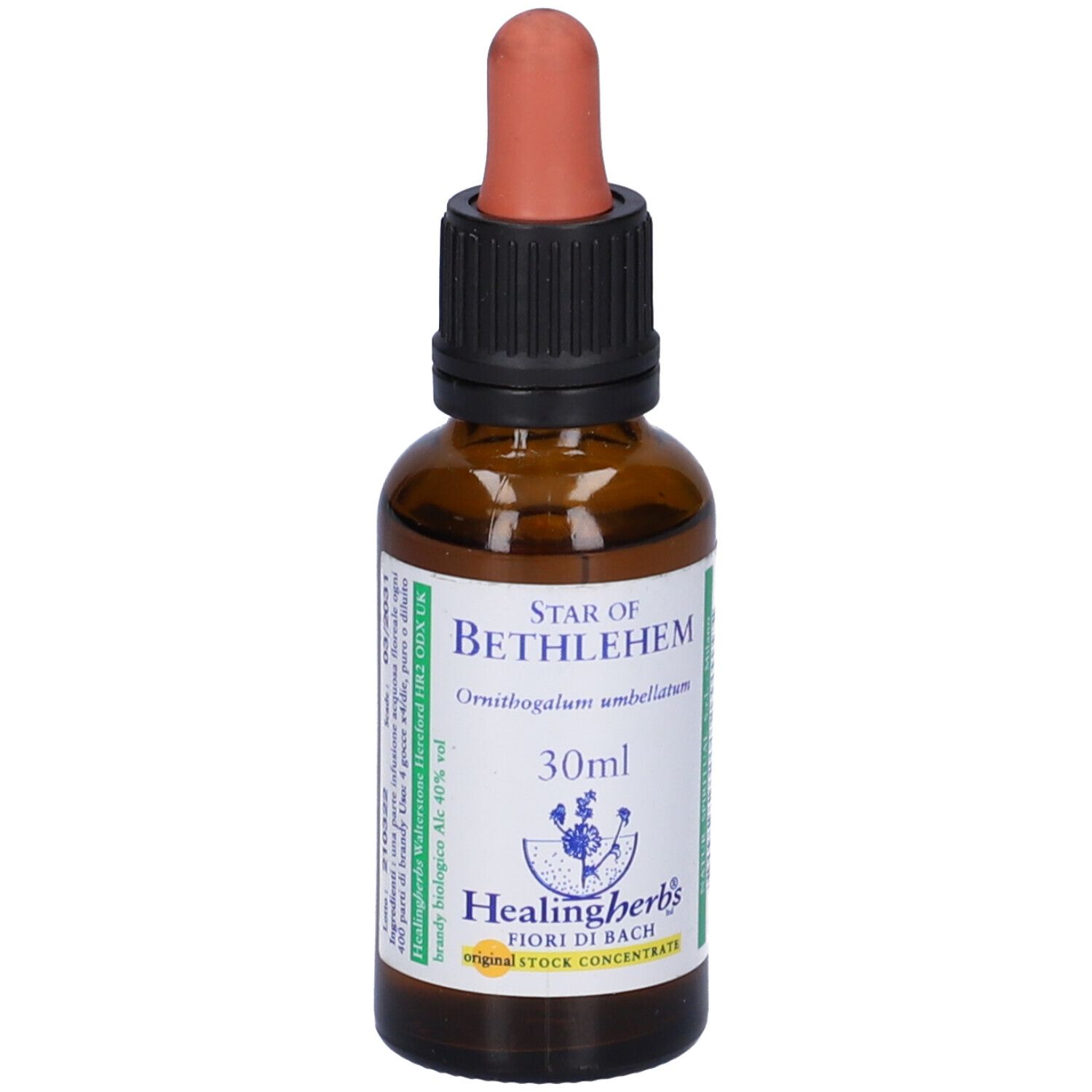 Flacone di vetro marrone con contagocce. Scritta: Star of Bethlehem, 30ml, Healing Herbs.