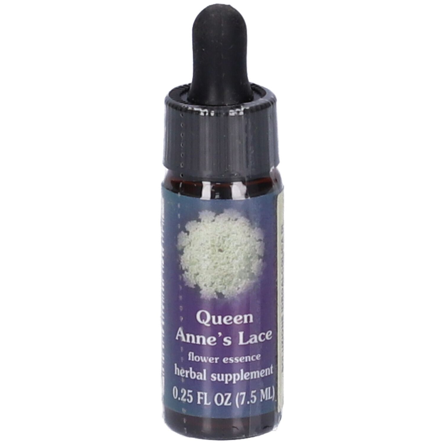 Natur Queen Anne´s Lace Gocce
