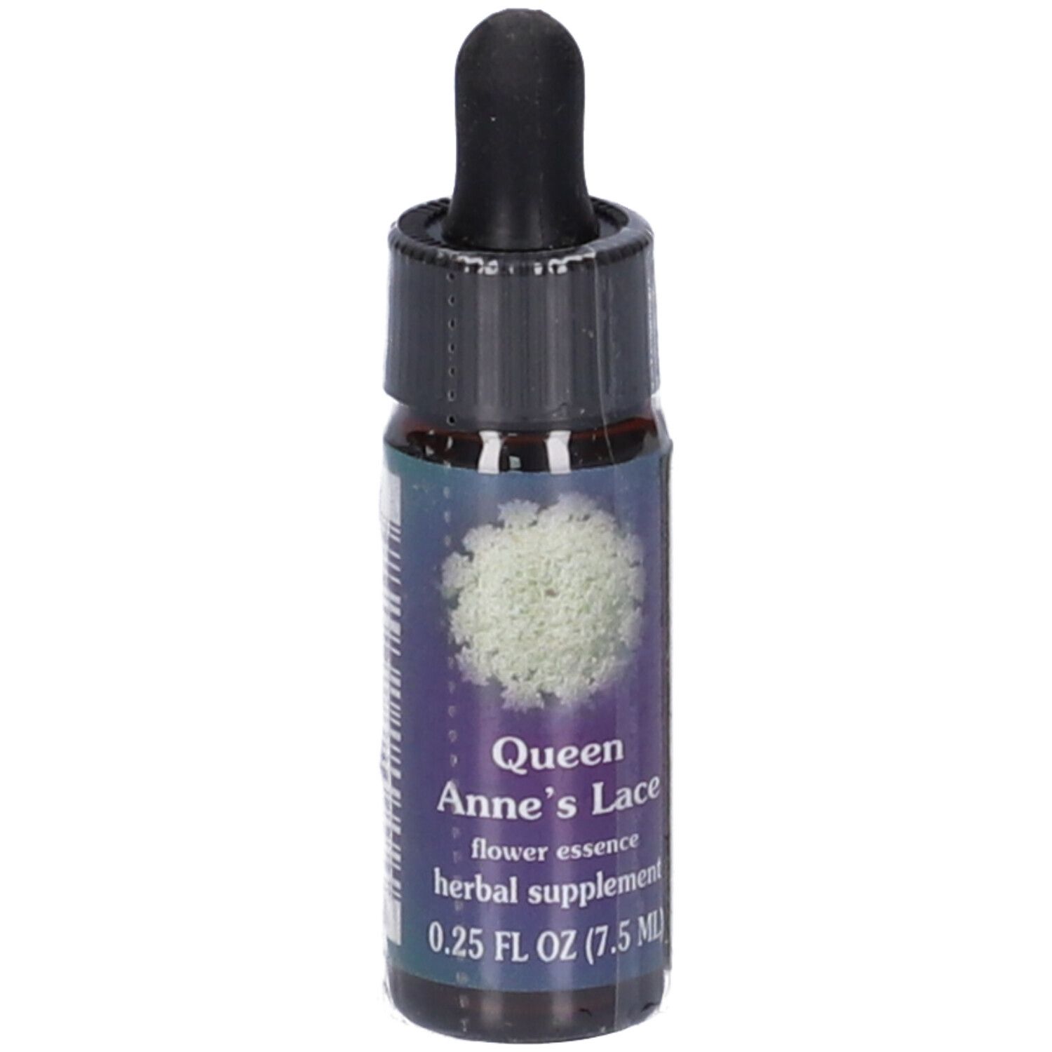 Natur Queen Anne´s Lace Gocce