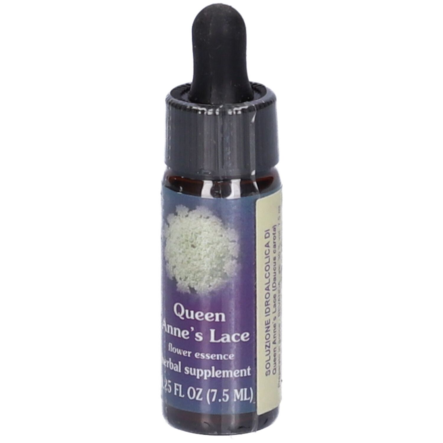 Natur Queen Anne´s Lace Gocce