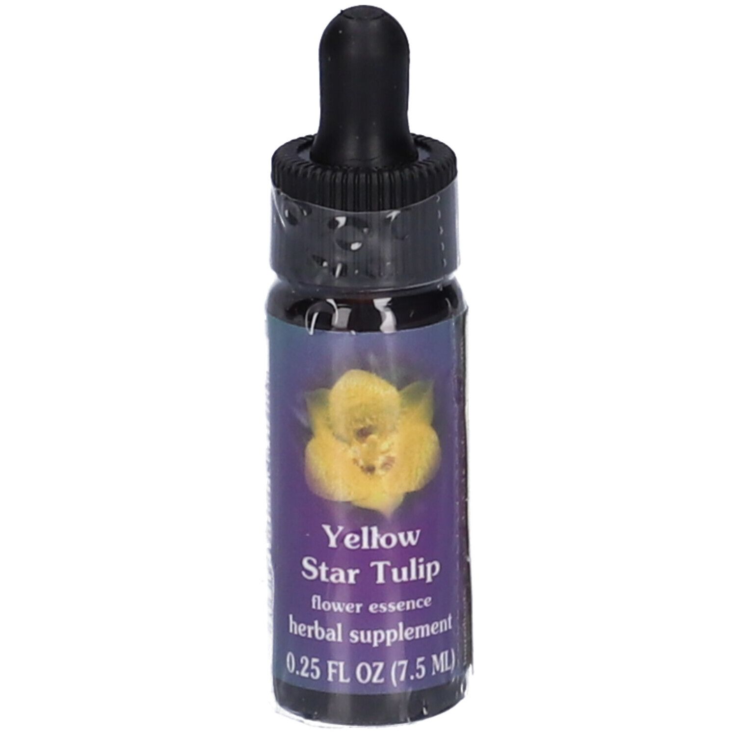 Yellow Star Tulip 7,4Ml Calf