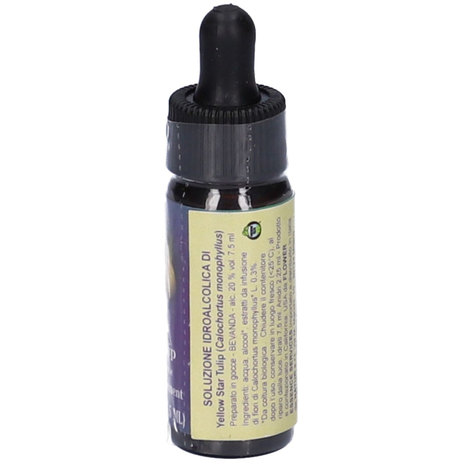 Piccola bottiglia di vetro con tappo nero e contagocce. Scritta: Yellow Star Tulip, 0.25 FL OZ (7.5 ml).