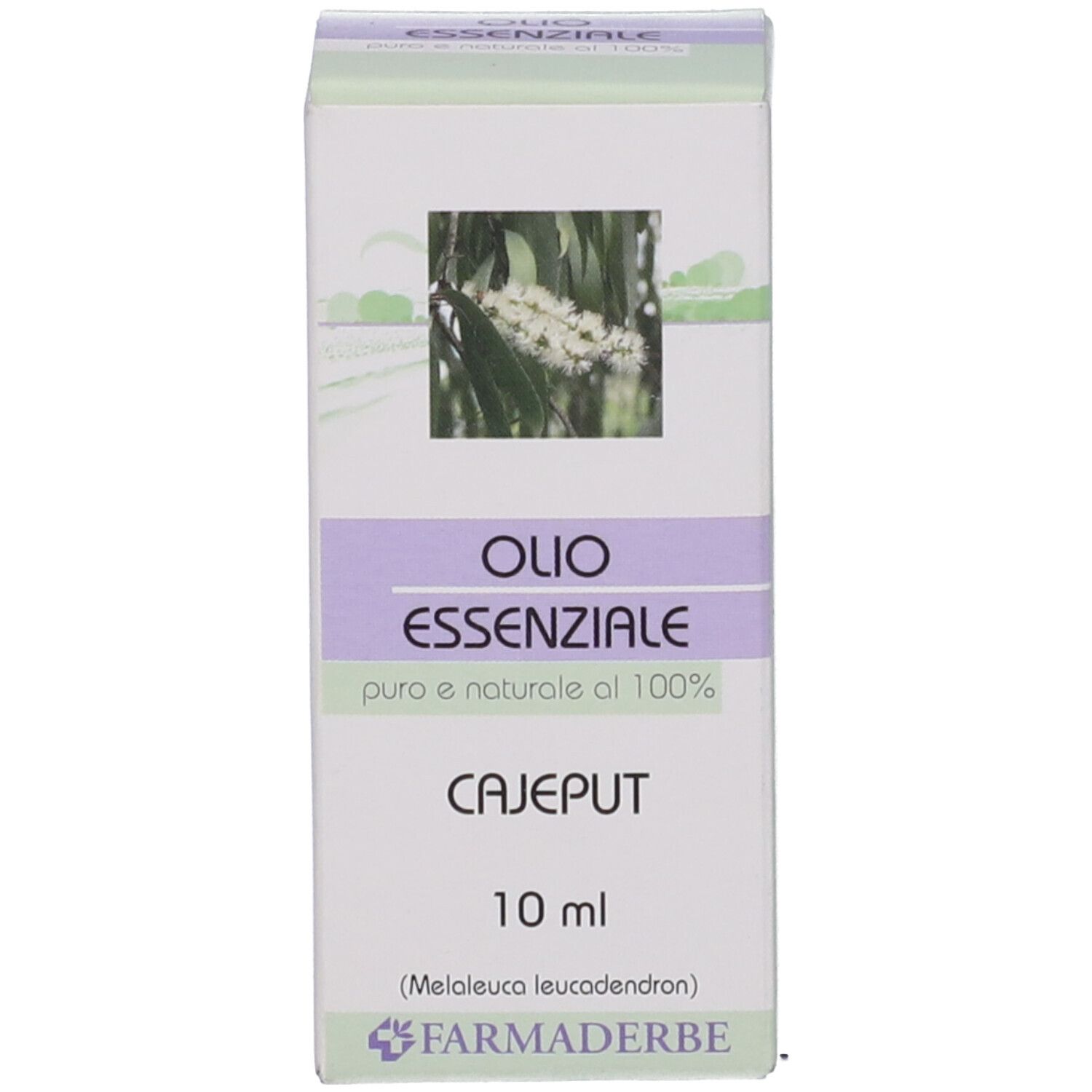 CAJEPUT OLIO ESSENZIALE 10ML