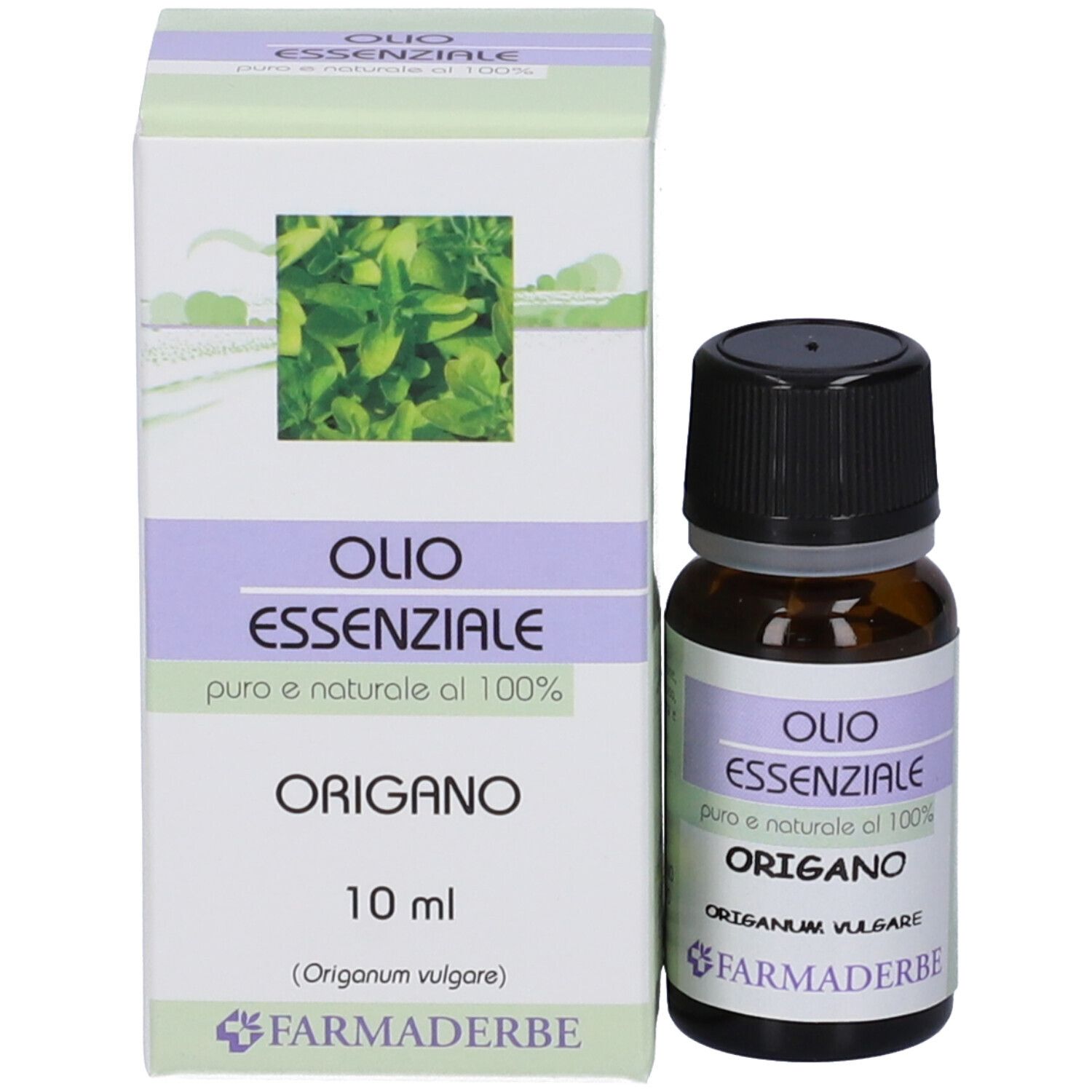 Origano Olio Essenziale 10 Ml