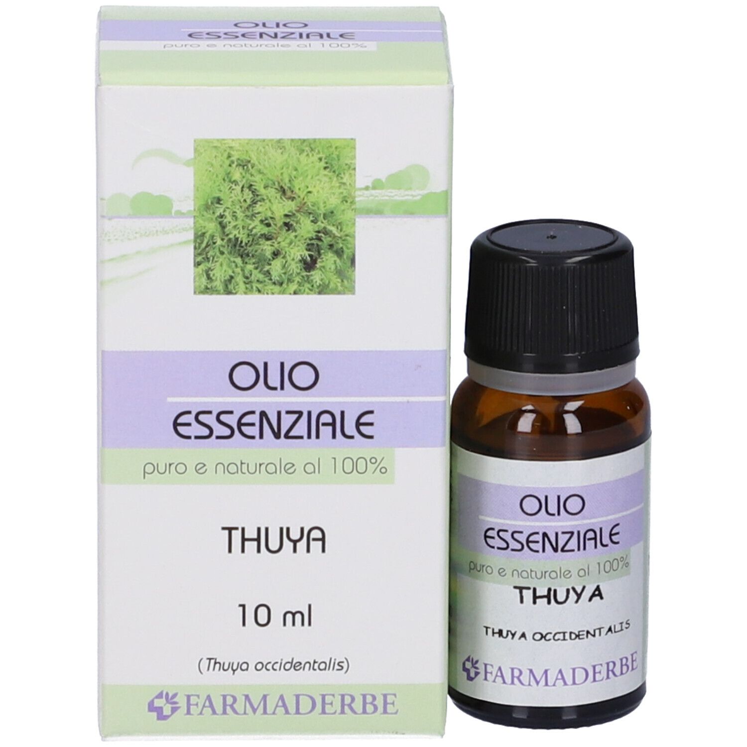 Flacone di vetro marrone e scatola. Scritta: Olio Essenziale, Thuya, 10 ml, Farmaderbe.