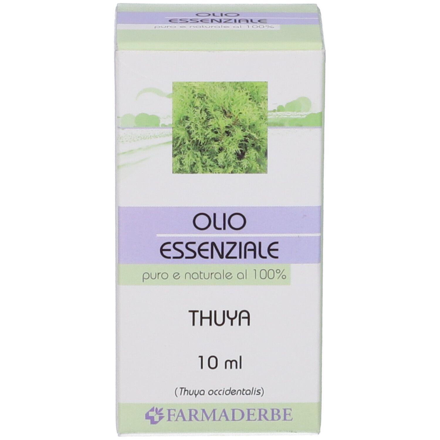Scatola bianca con immagine verde. Scritta: Olio Essenziale, Thuya, 10 ml, Farmaderbe.