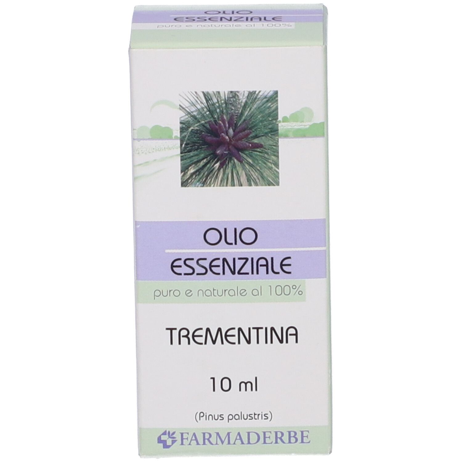 Trementina Olio Essenziale 10 Ml