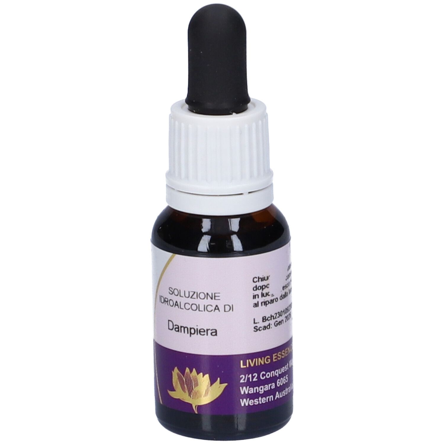 Dampiera Ess 15Ml Aust