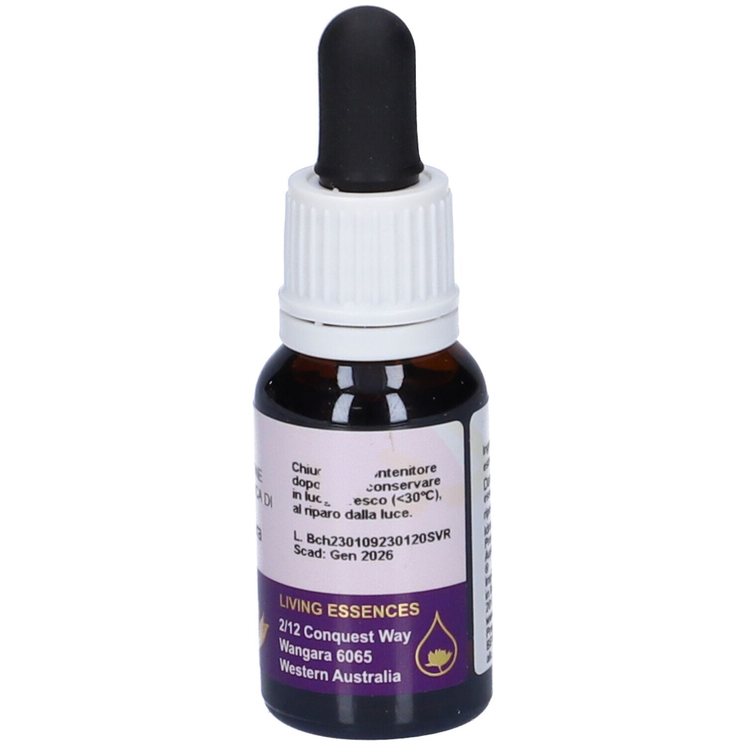 Dampiera Ess 15Ml Aust