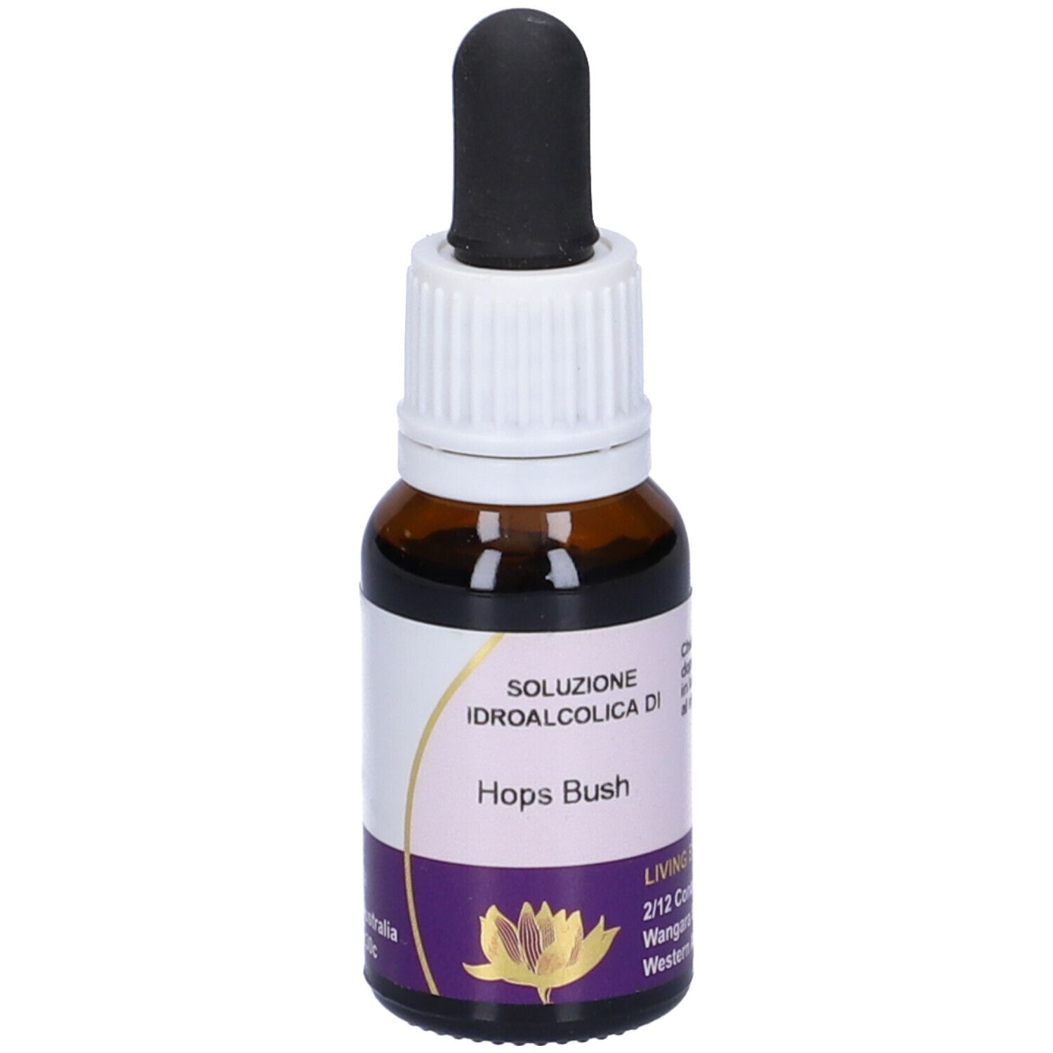 Flacone di vetro marrone con contagocce. L'etichetta riporta "Hops Bush".