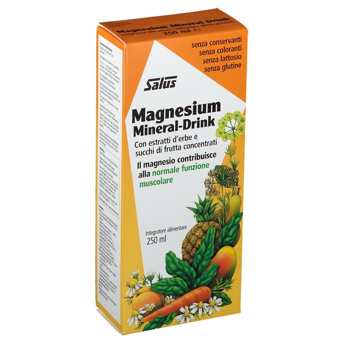 Salus Haus Mangesium Mineral-Drink