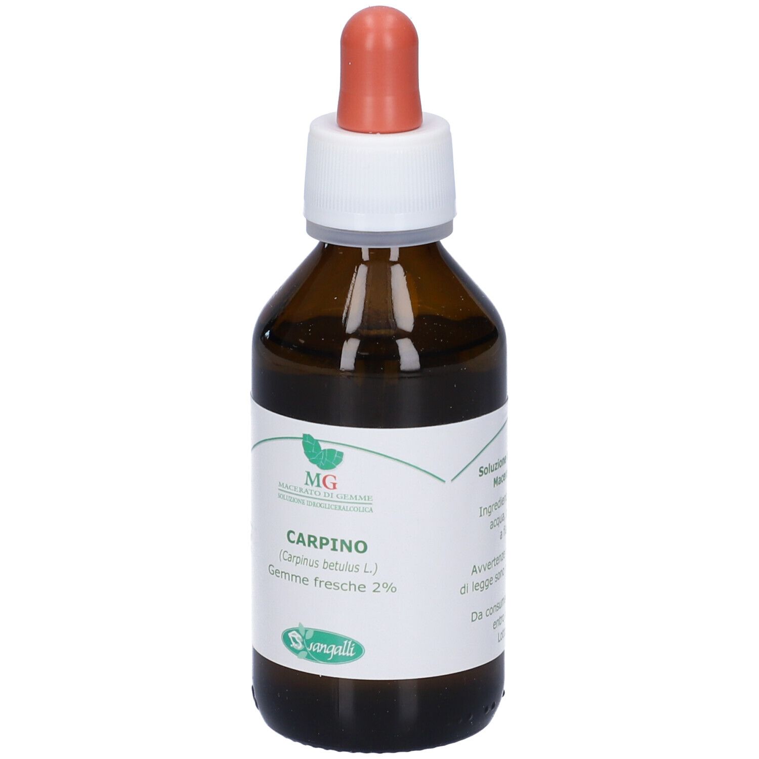 Flacone di vetro marrone con contagocce. Scritta: CARPINO (Carpinus betulus L.) Gemme fresche 2%.