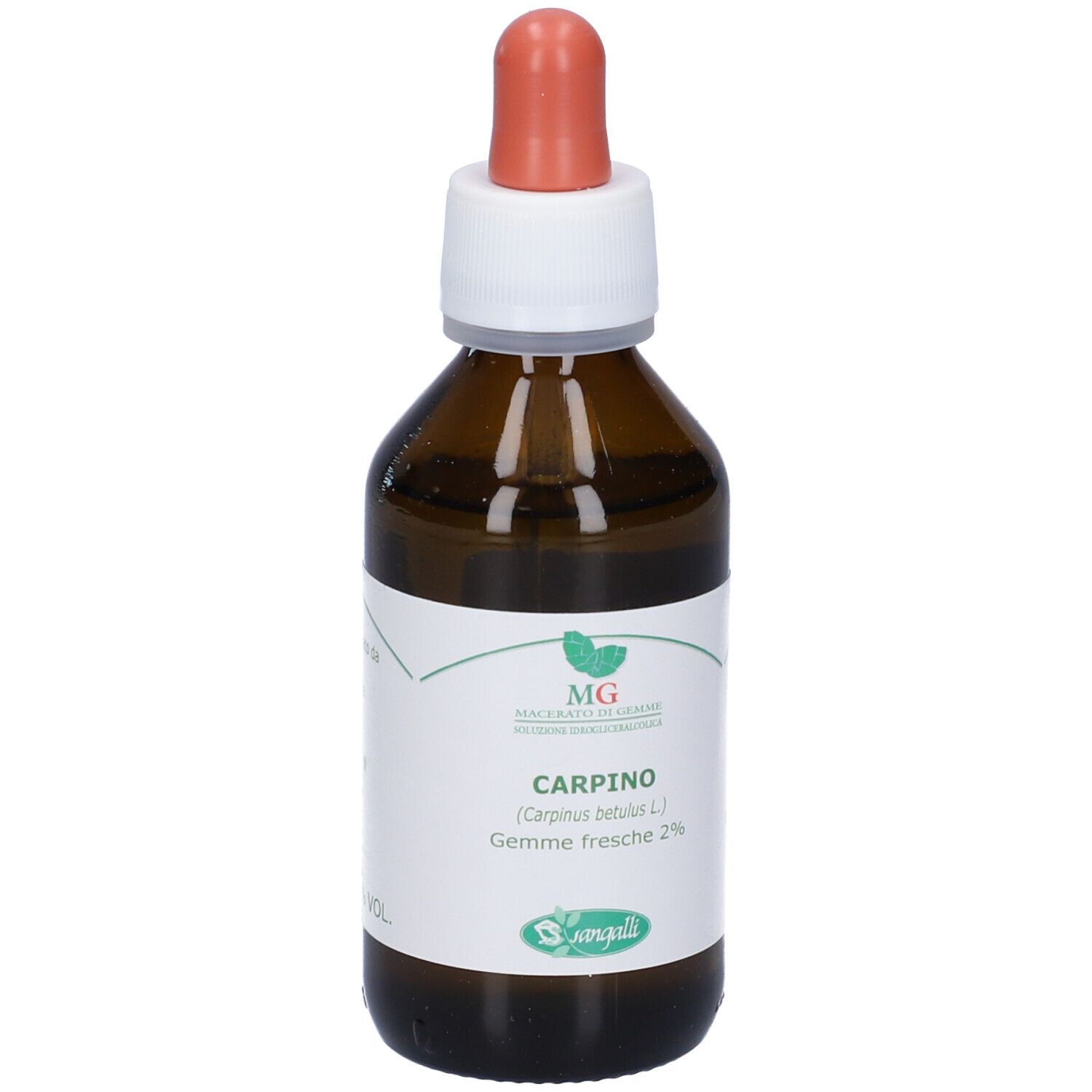 Flacone di vetro marrone con contagocce. Scritta: CARPINO (Carpinus betulus L.) Gemme fresche 2%.