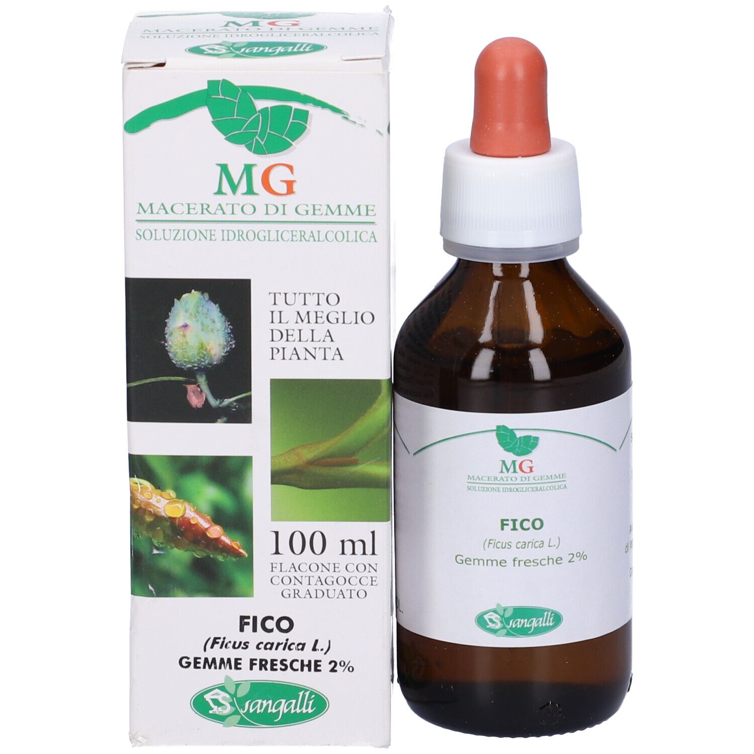 Fico Macerato Glicerico 100 Ml