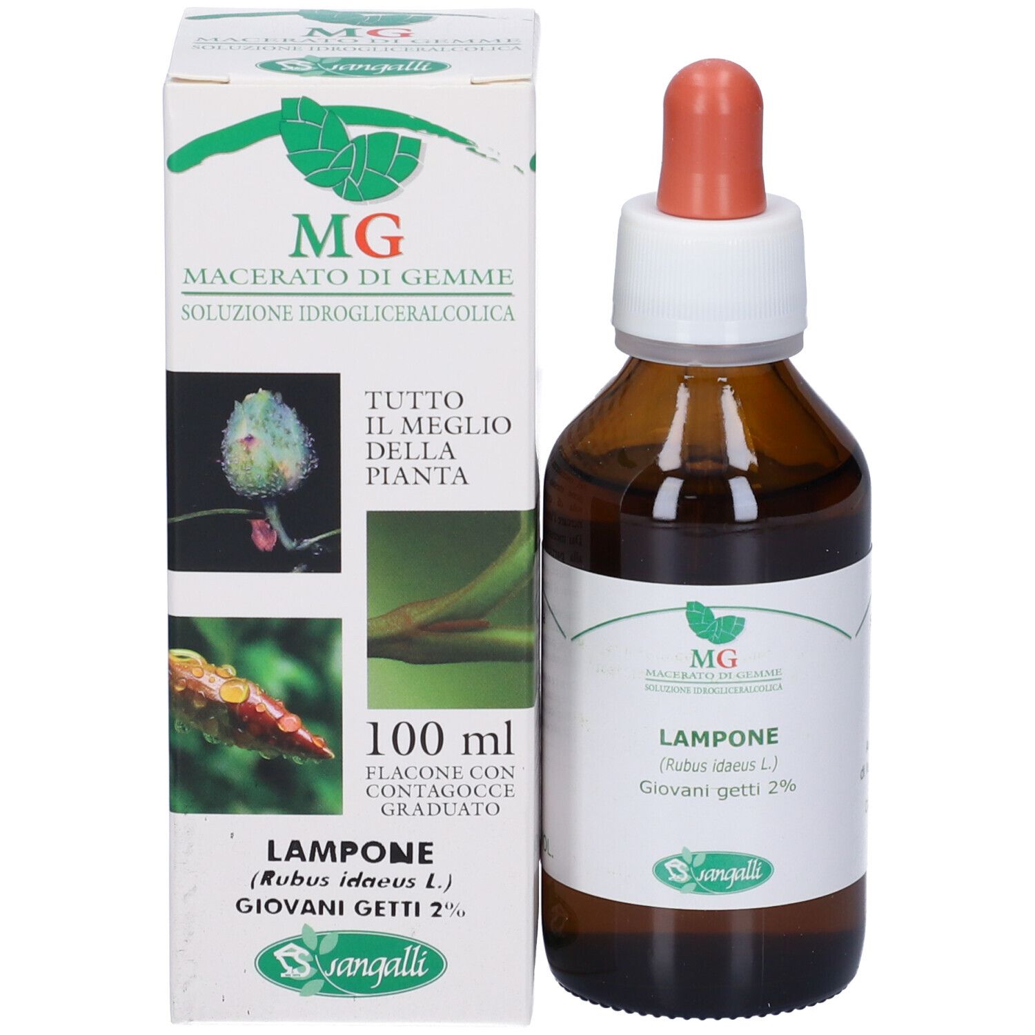 Lampone 100 Ml Gm