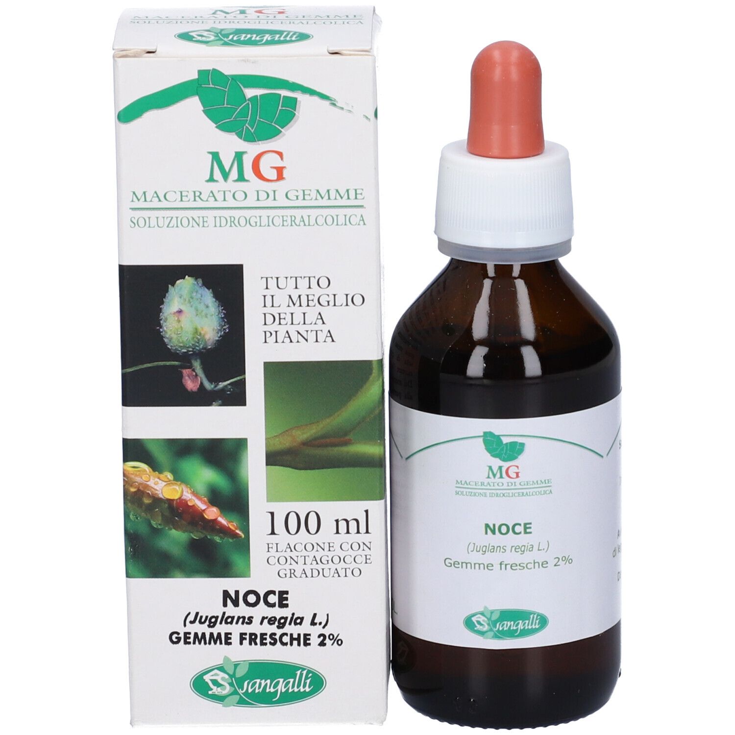 Noce Macerato Glicerico 100 Ml