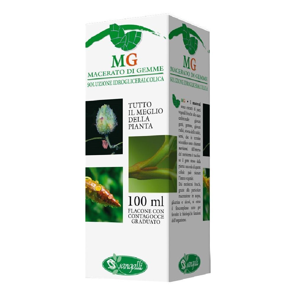 Ribes Macerato Glicerico 100 Ml
