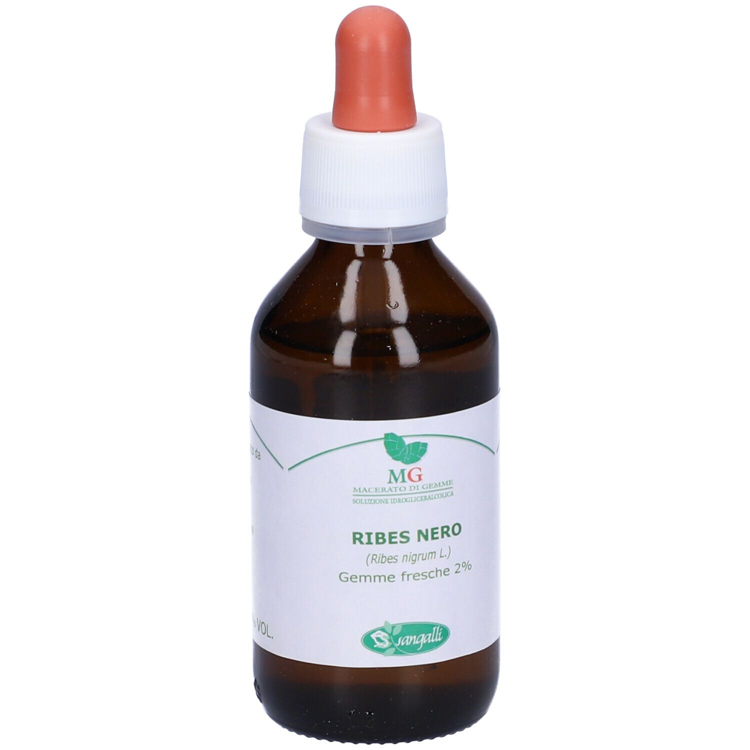 Ribes Macerato Glicerico 100 Ml