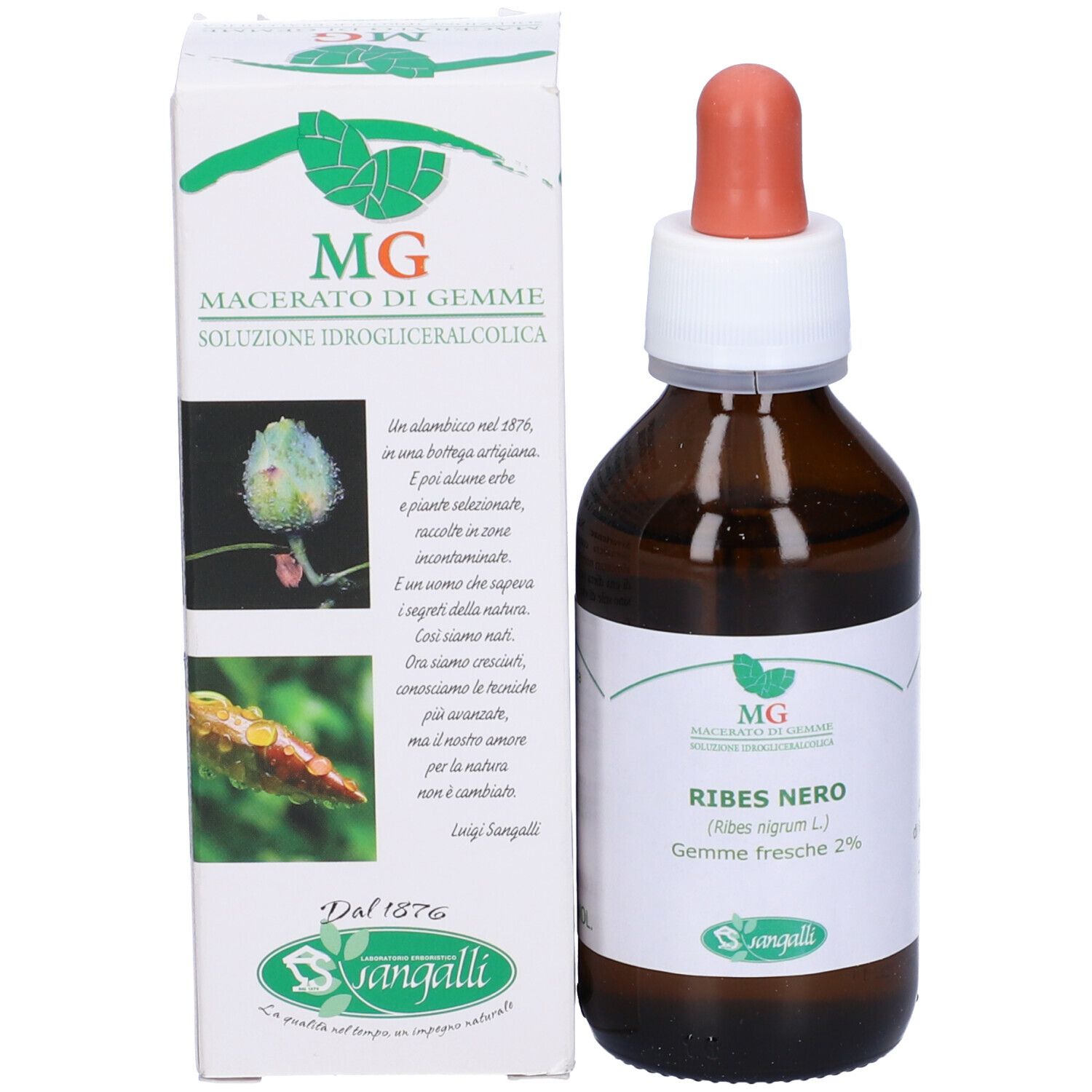 Ribes Macerato Glicerico 100 Ml