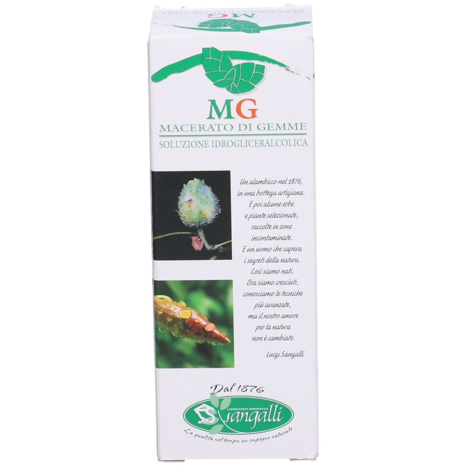Ribes Macerato Glicerico 100 Ml