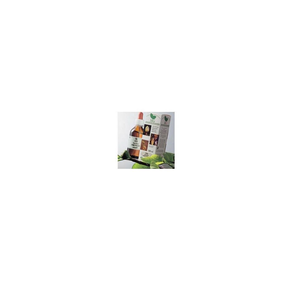 Rosa Canina Macerato Glicerico 100 Ml