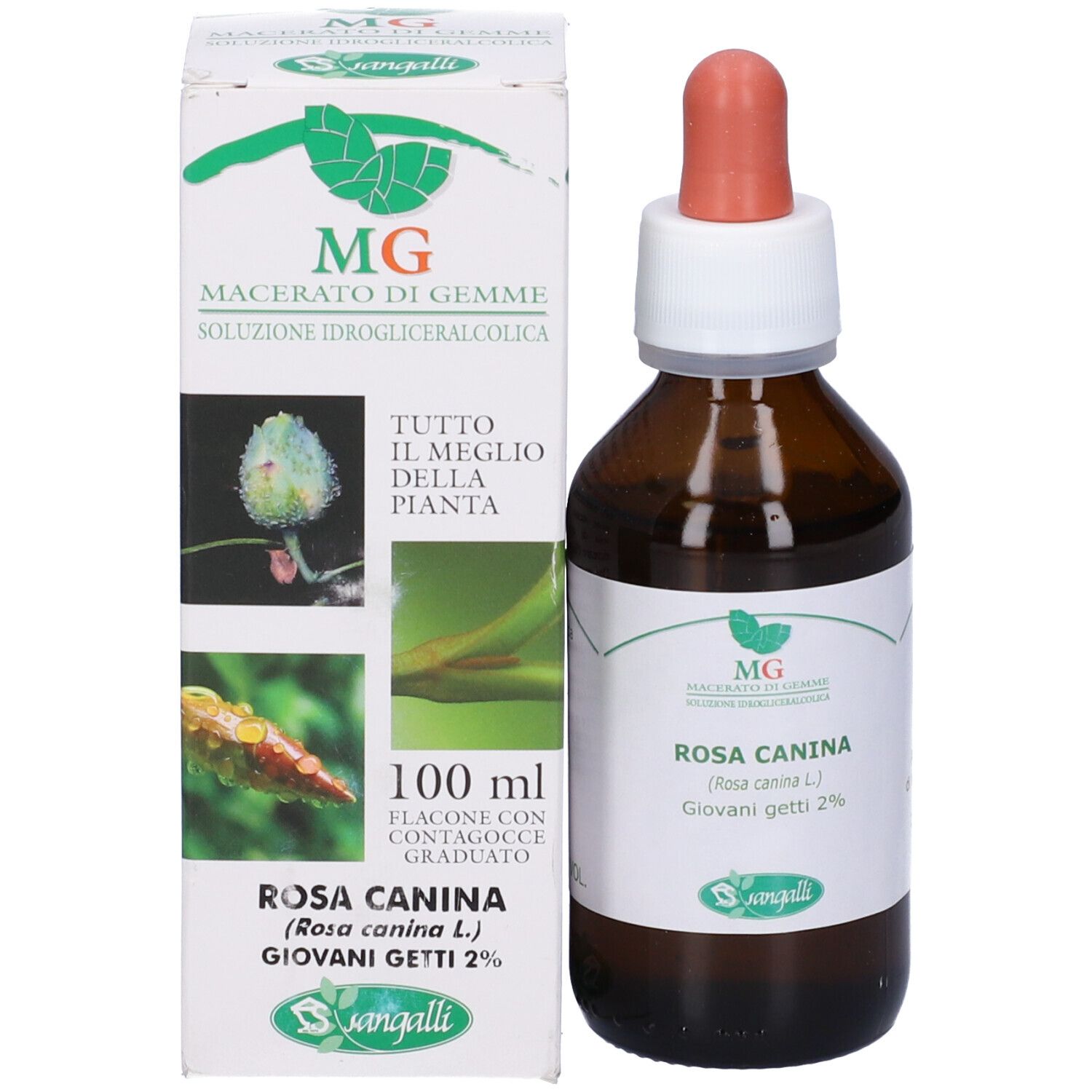 Rosa Canina Macerato Glicerico 100 Ml