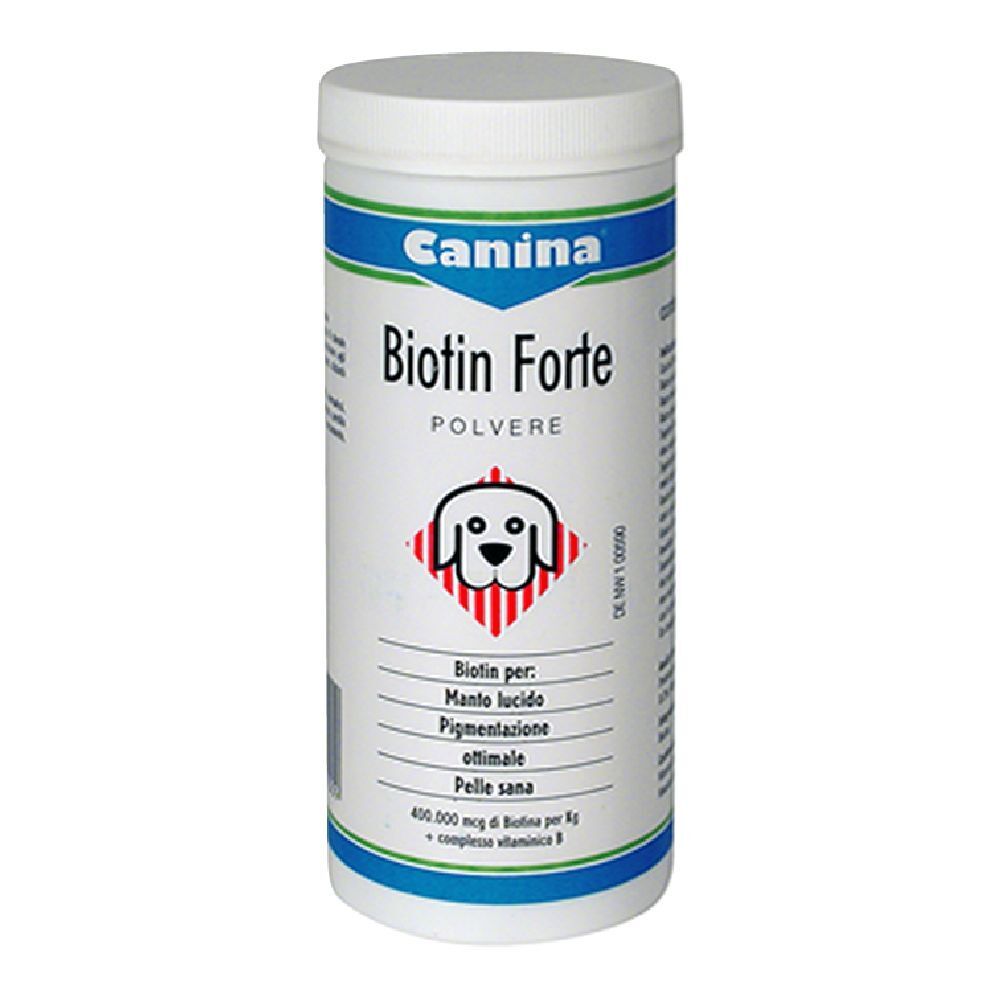 Biotin Forte Polvere 100 G