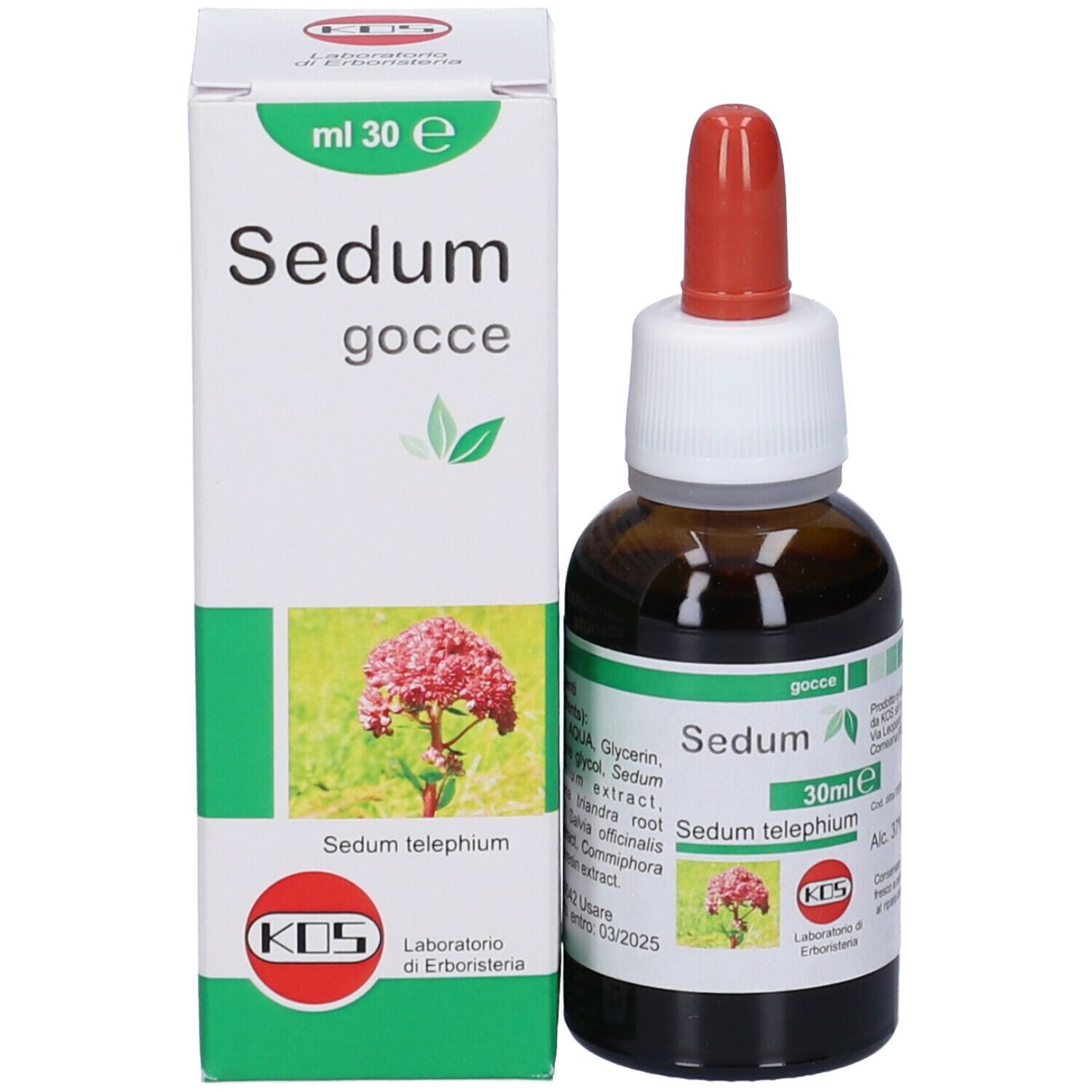 KOS Sedum Gocce