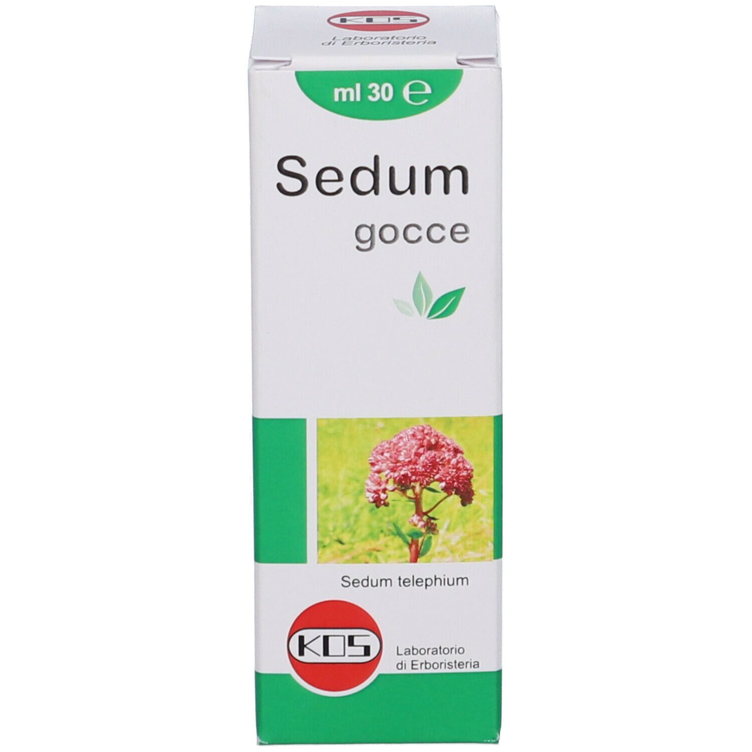 KOS Sedum Gocce