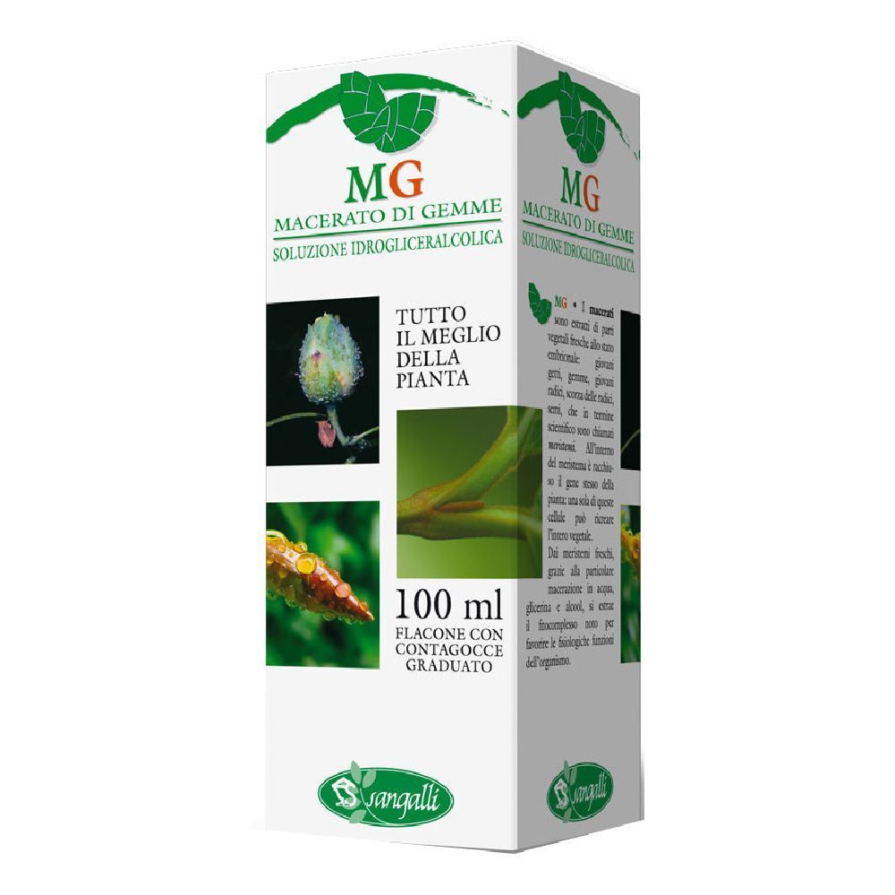Betulla Macerato Glicerico 100 Ml
