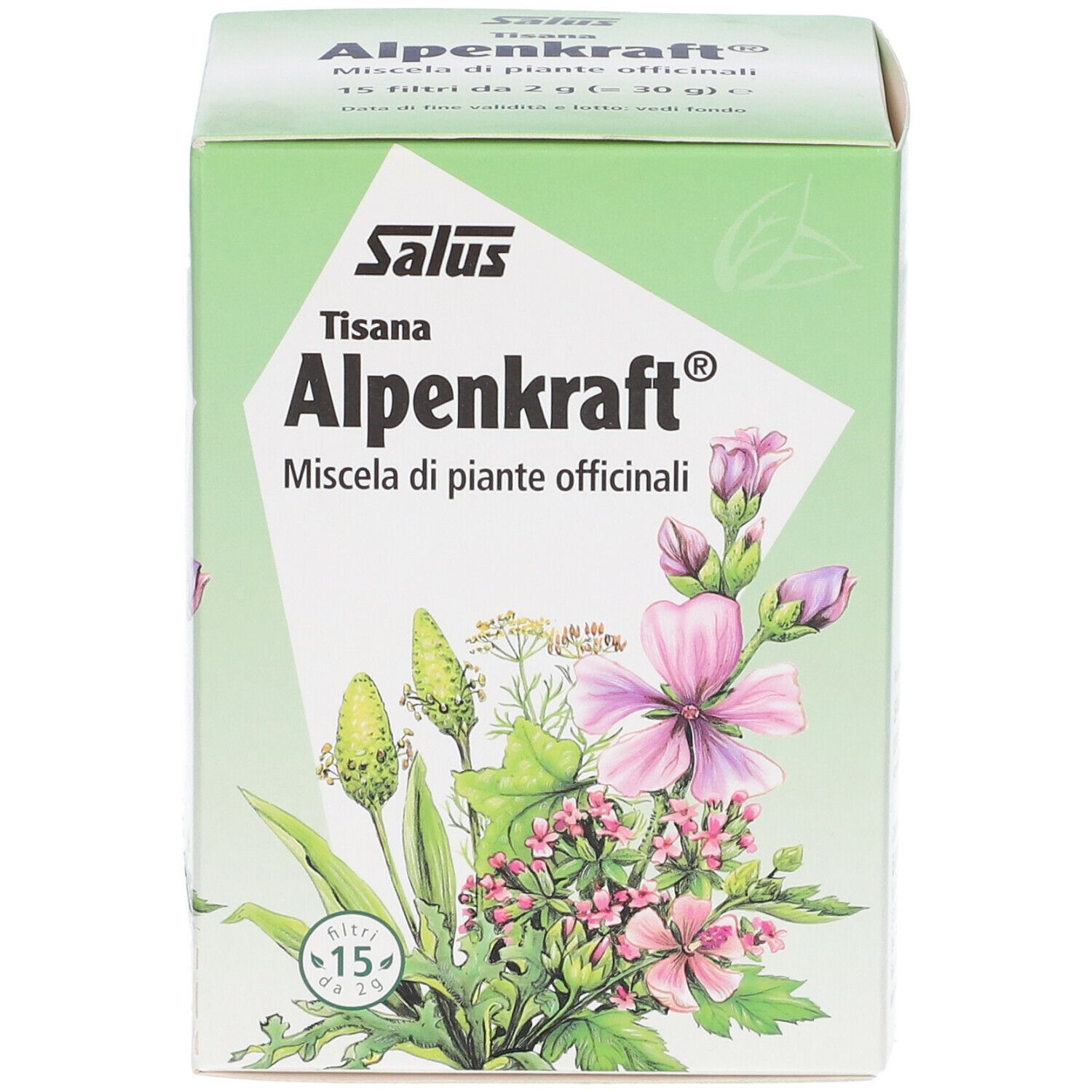 Scatola verde Alpenkraft Tisana. Scritto: Salus, Alpenkraft, miscela di piante officinali. Illustrazione e 15 filtri.