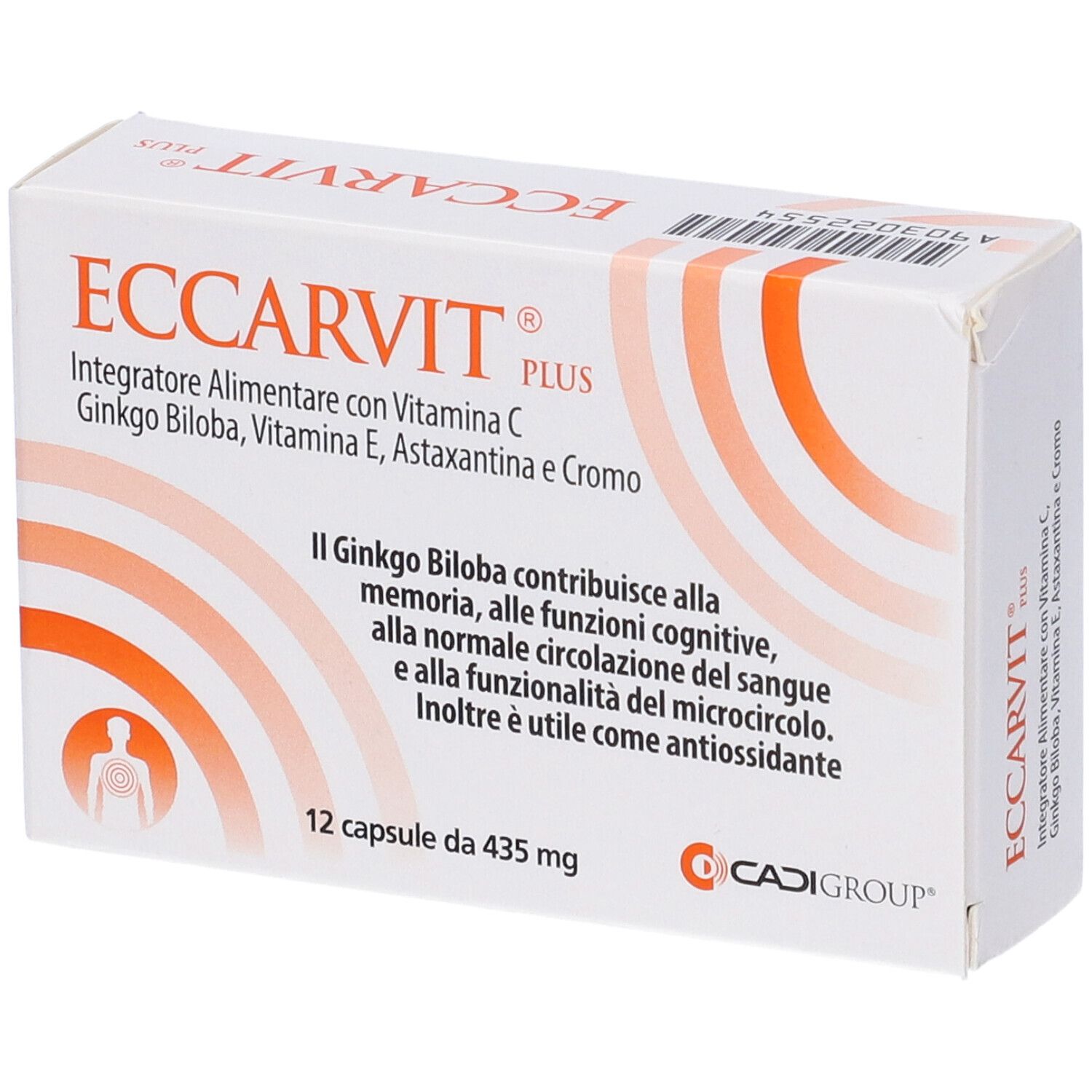 Scatola bianca con scritta ECCARVIT PLUS. Contiene 12 capsule. Con vitamina C, Ginkgo Biloba, vitamina E, Astaxantina e Cromo.